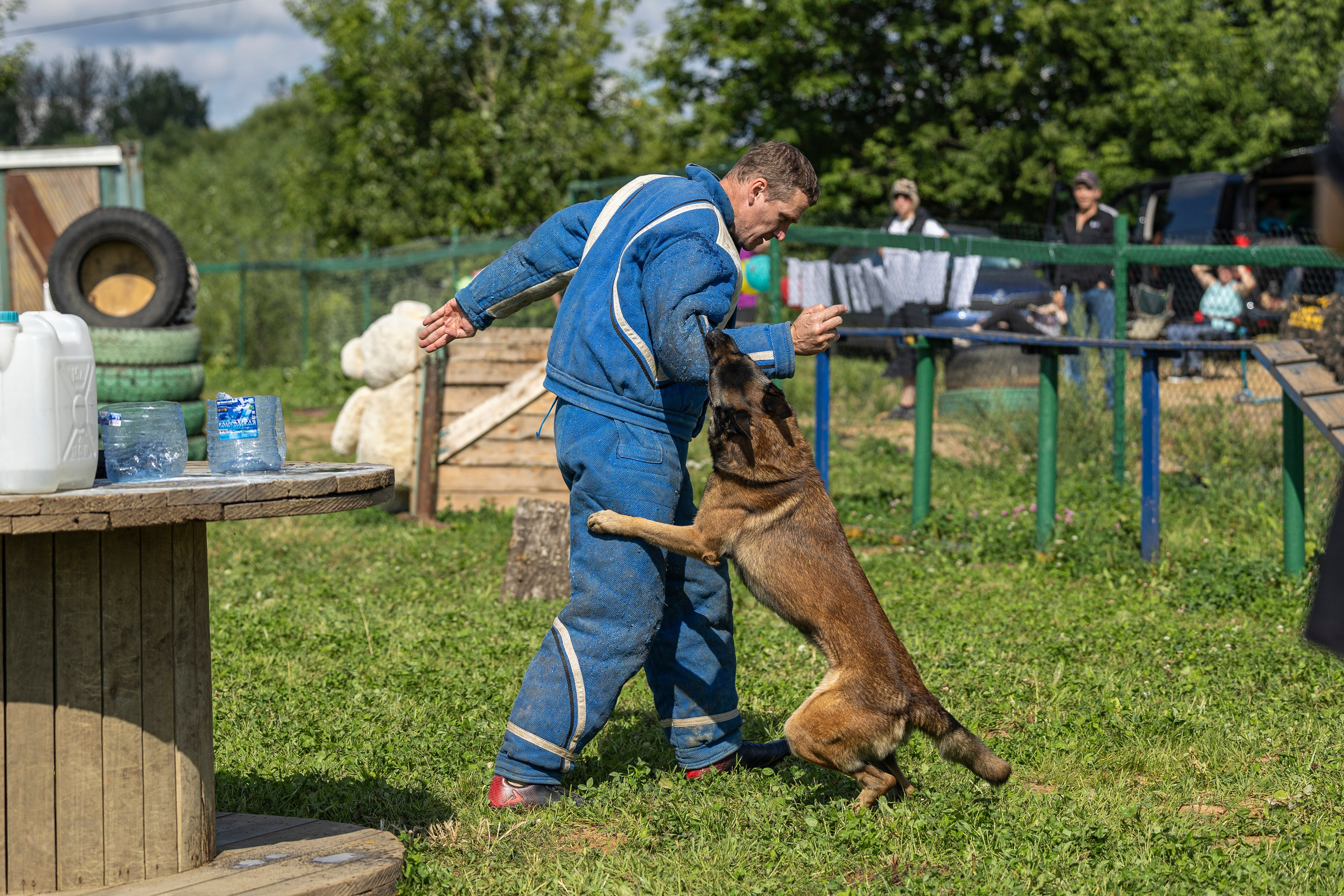 Соревнования по Мондьорингу г. Вологда 10-11.08.2024. Фотограф-анималист Анна Маринич