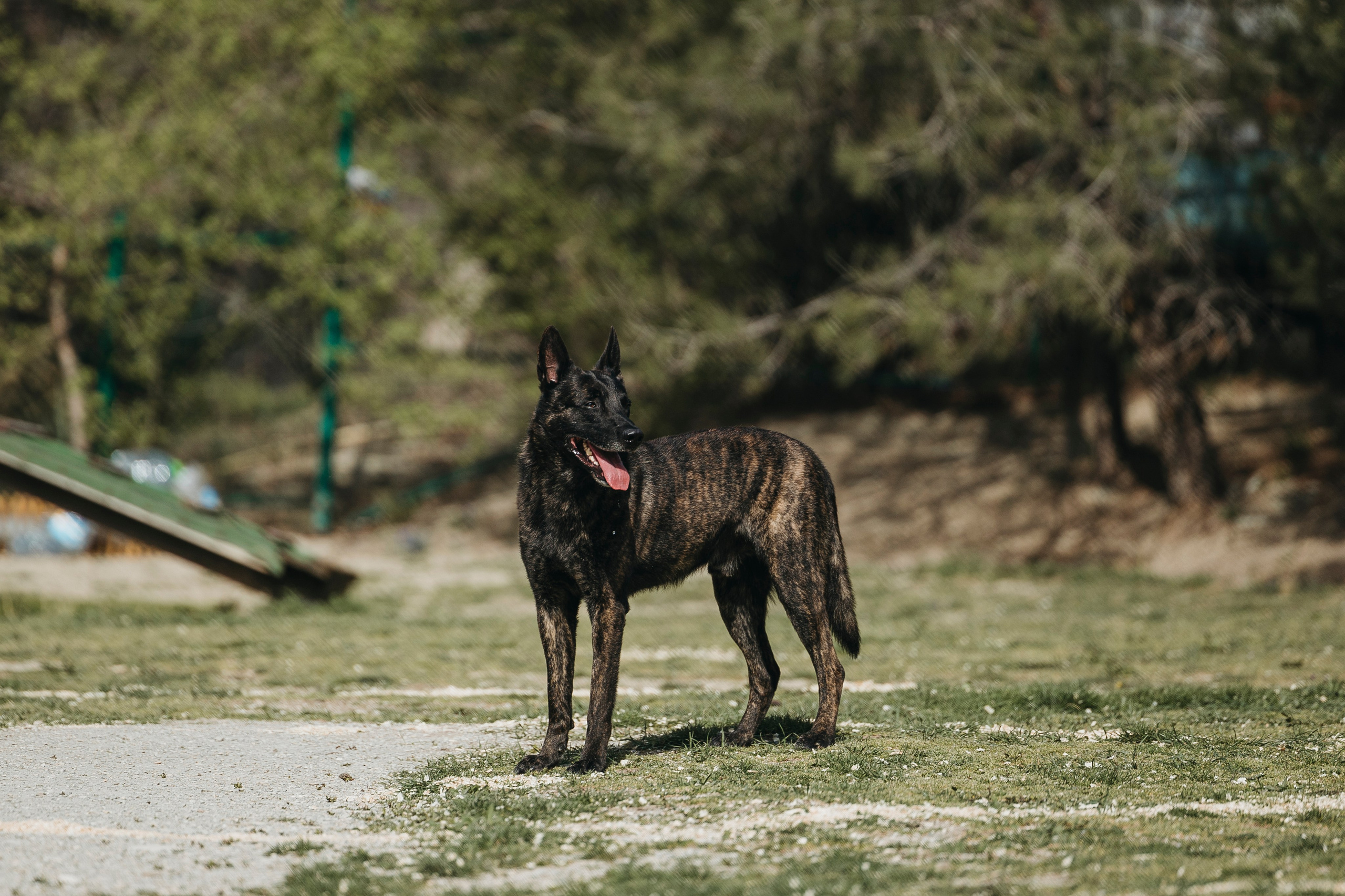 Геленджик Мондьоринг. Фотограф-анималист Анна Маринич