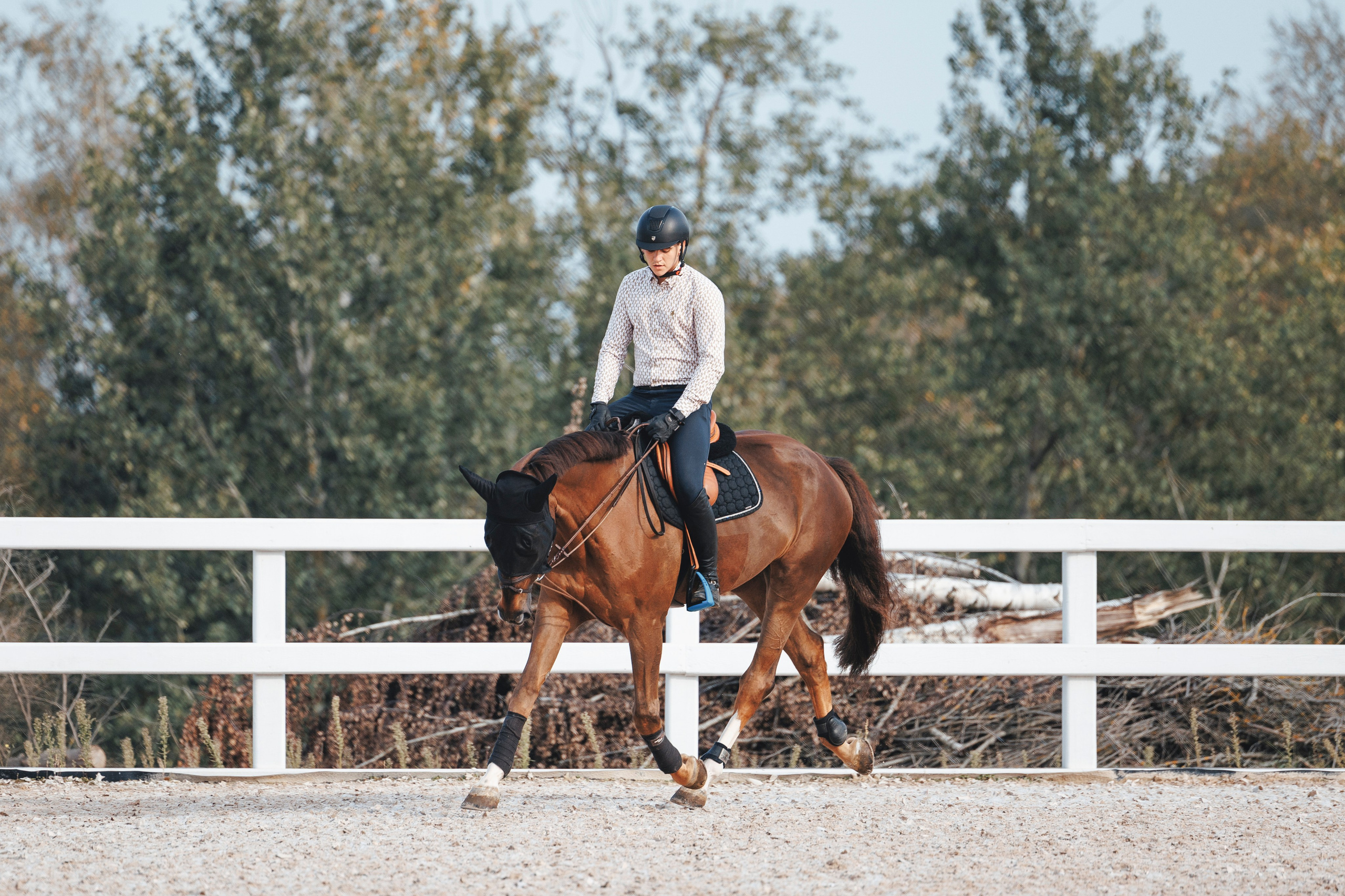 Конкур. Фотограф-анималист Анна Маринич