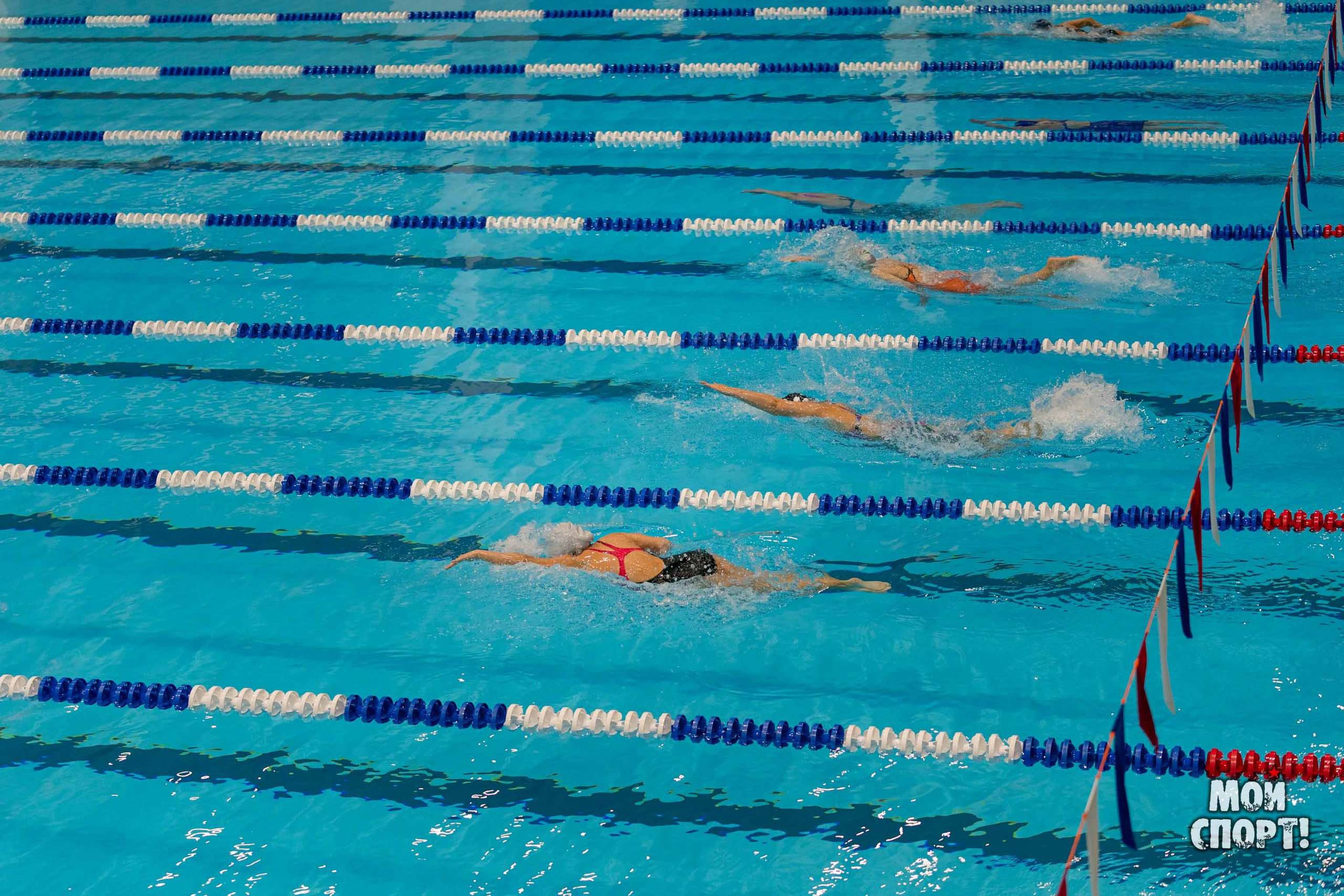 Соревнования по плаванию на призы Деда Мороза. Студия «Мой Спорт!» — все о спорте в Якутии