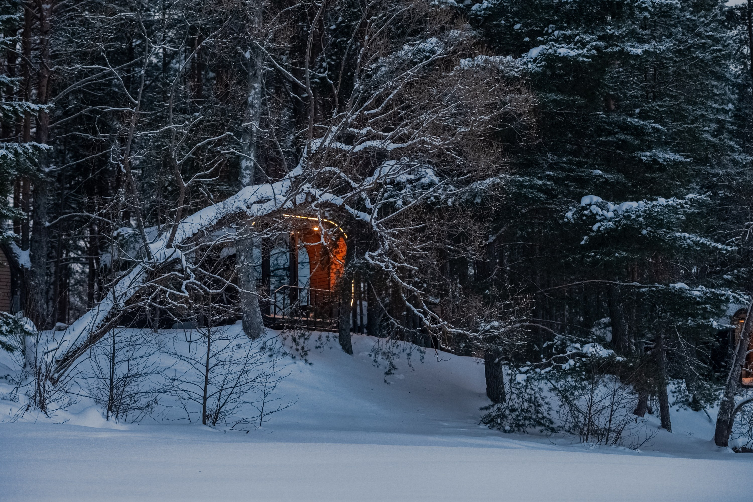 Выключить шум и услышать тишину, утихомирить свои мысли и приземлиться. В фокусе- человек и его состояние!. Туманов Виталий — фотограф Москва
