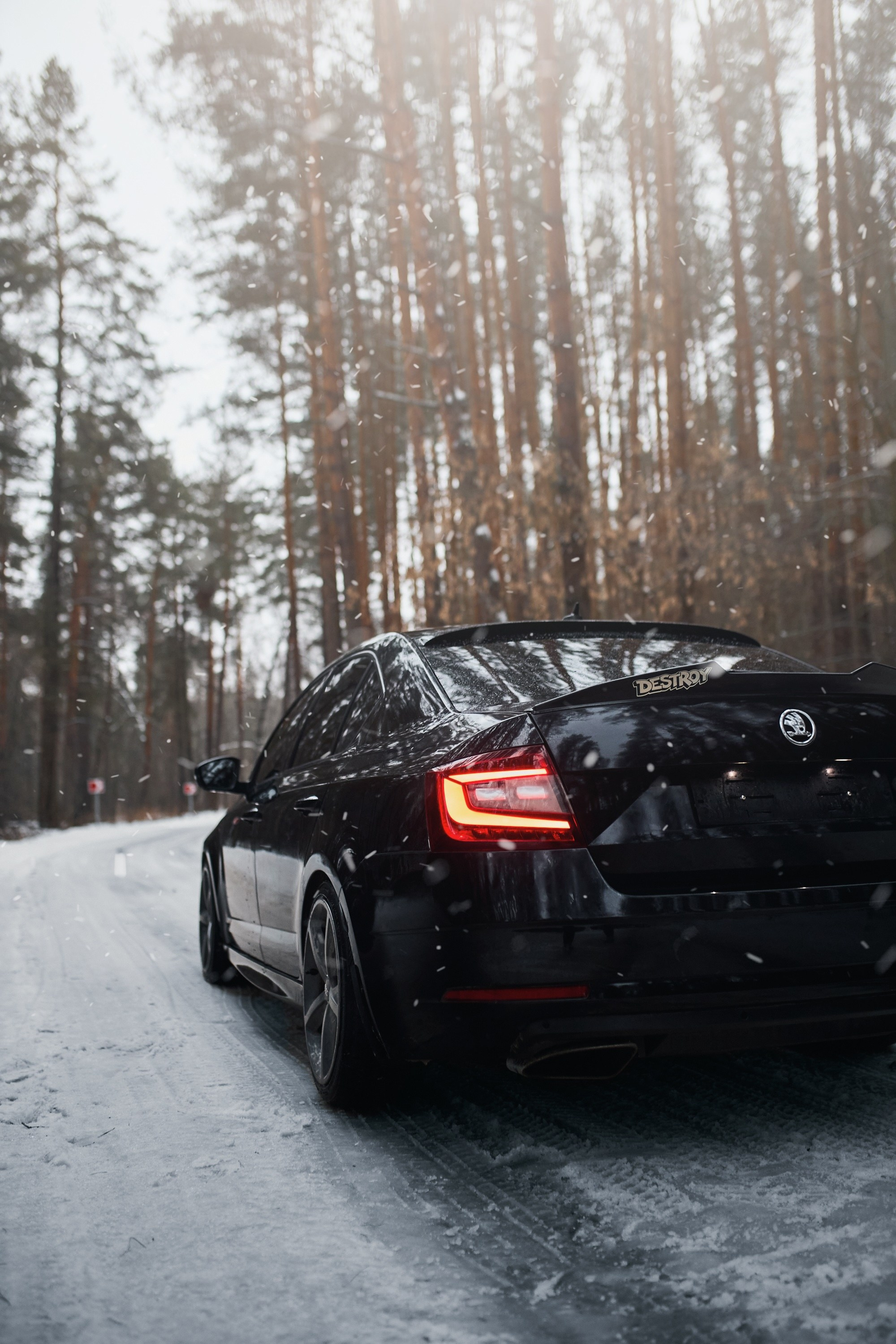 Skoda Octavia | @fuck_credit. DKARPOCHEVA PHOTOGRAPHY