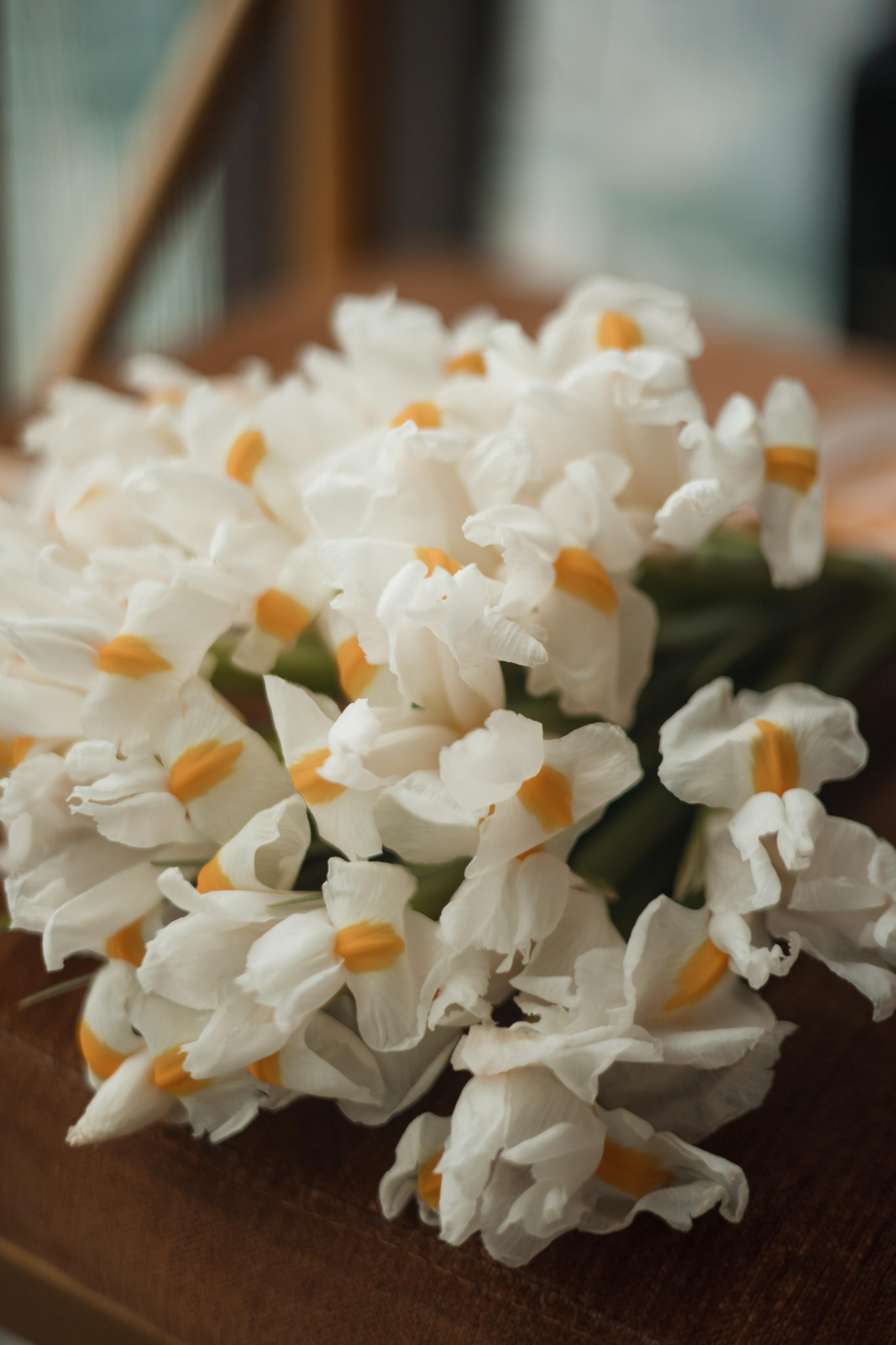 Вера и Дима, регистрация в Birds, башня «Око», Москва-Сити. Свадебный и репортажный фотограф (Москва, Королев и другие)