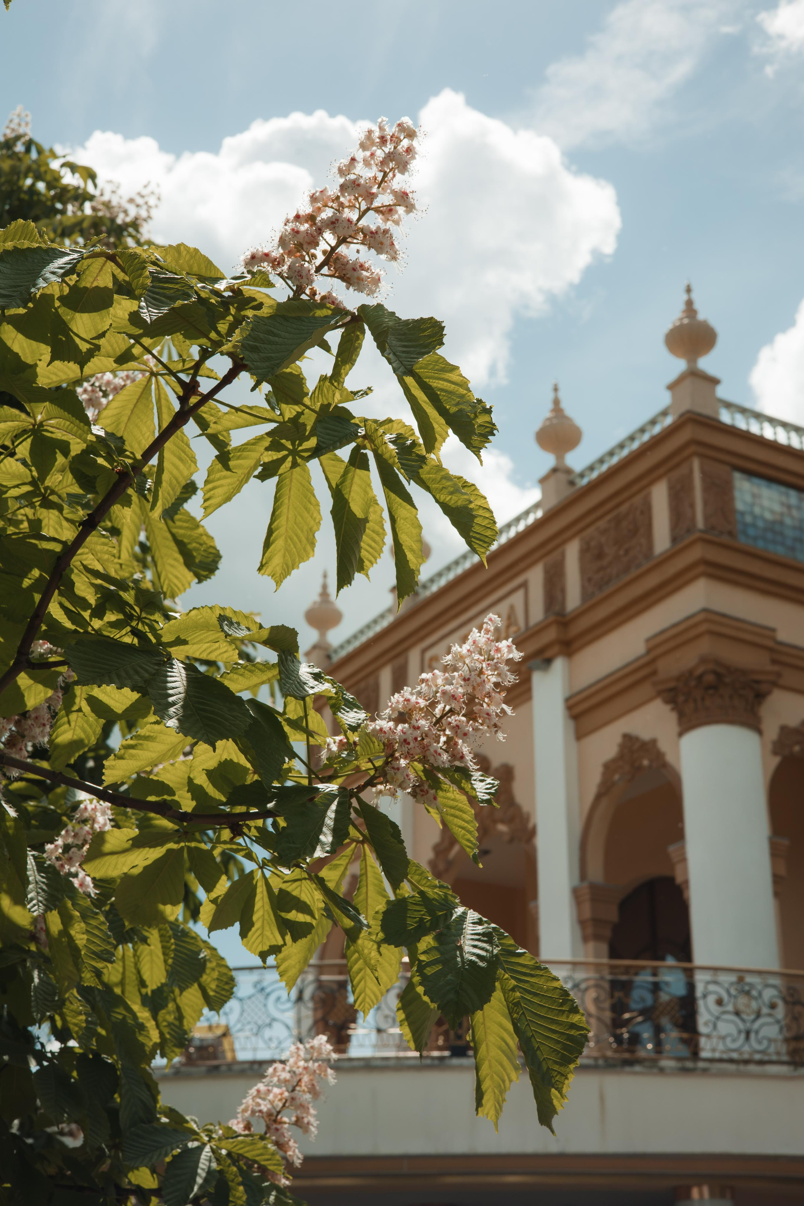 Свадьба Полина и Виктор, Сафиса. Свадебный и репортажный фотограф (Москва, Королев и другие)