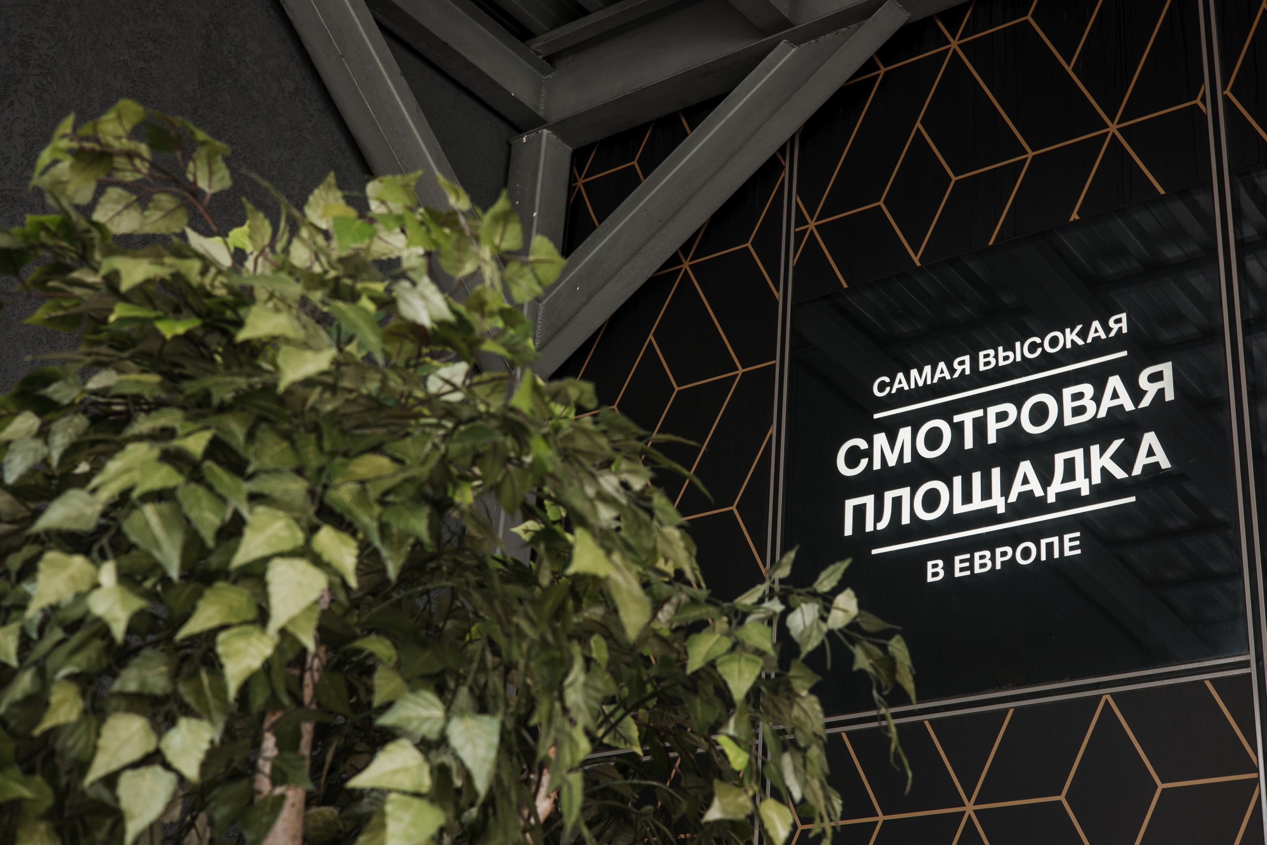 Вера и Дима, регистрация в Birds, башня «Око», Москва-Сити. Свадебный и репортажный фотограф (Москва, Королев и другие)