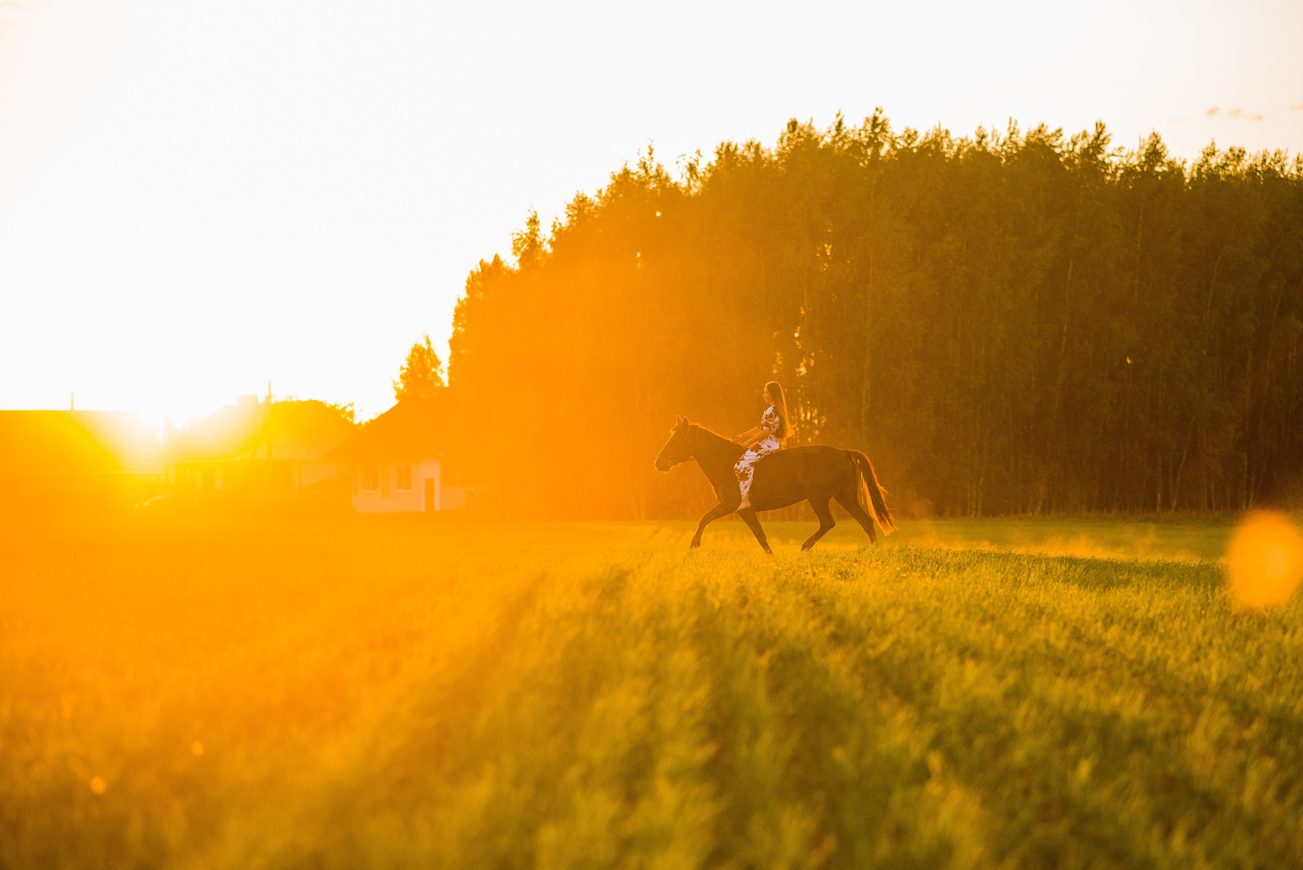 Лиза и Рамина — 04.06.2023. Фотограф — Анималист | Анна Абрамова