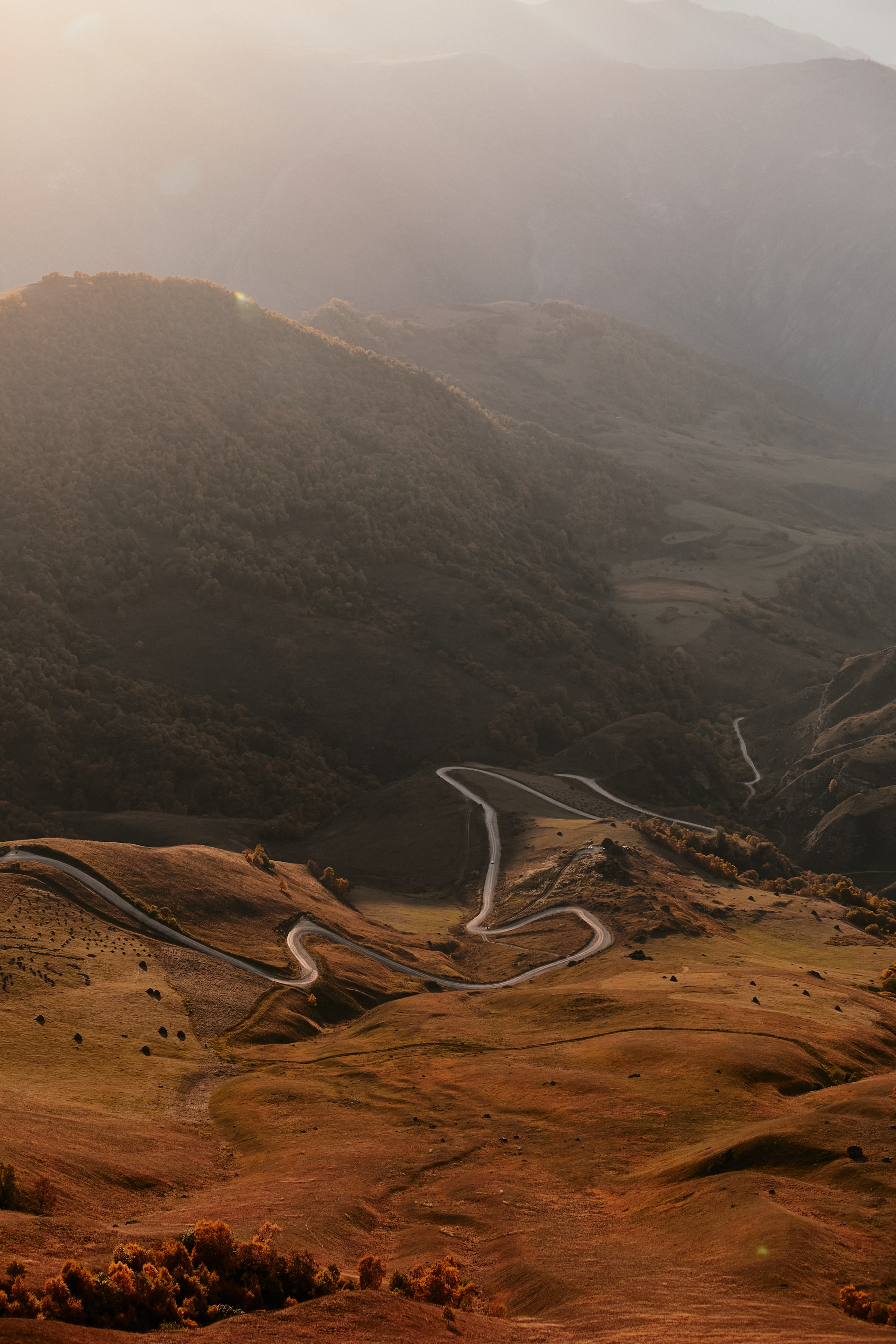 Лха 2500. Фотограф Продюсер в горах КБР / Москва  Нальчик Горы