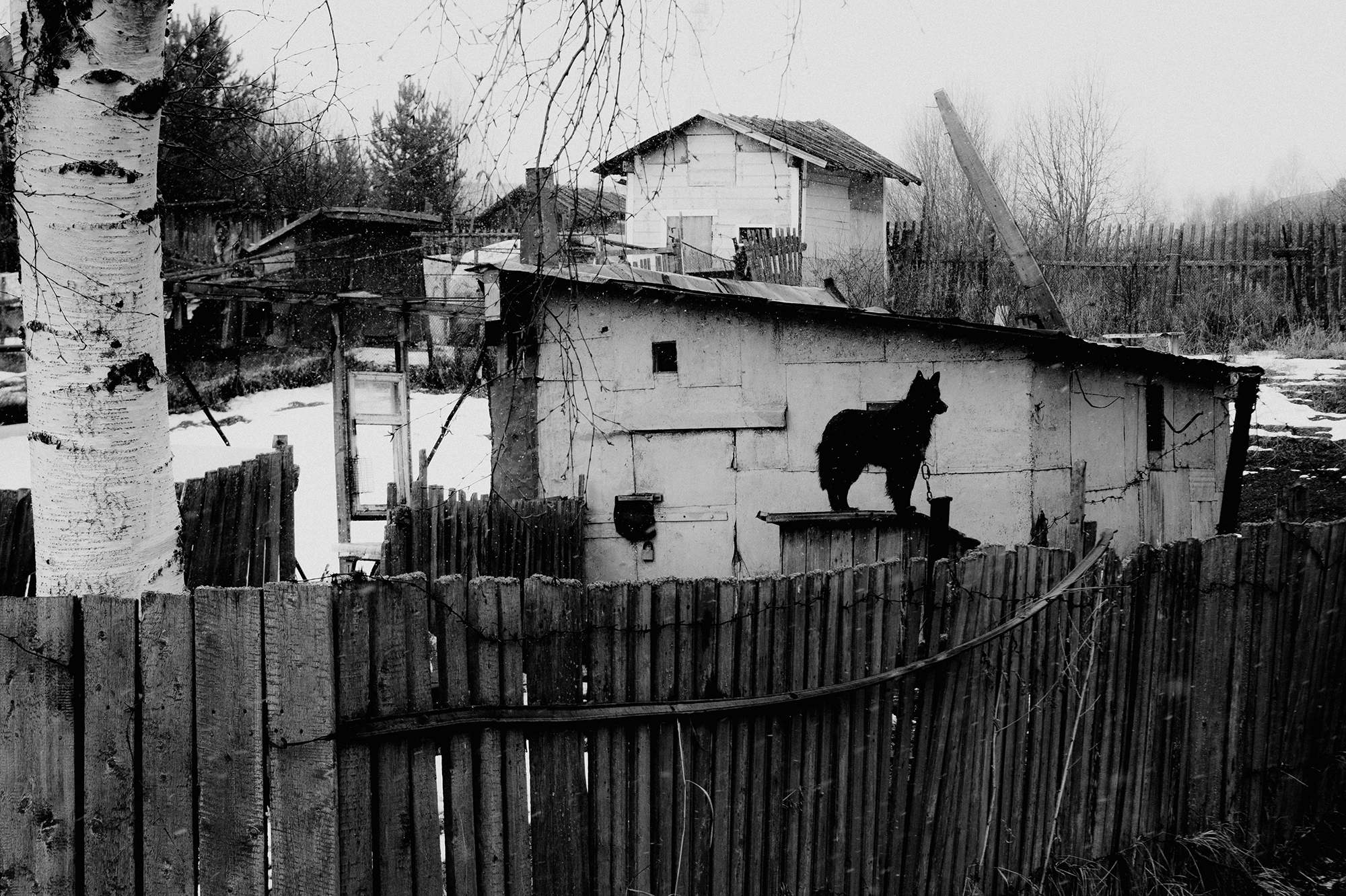 № 1. WAYHAY — Портретный фотограф