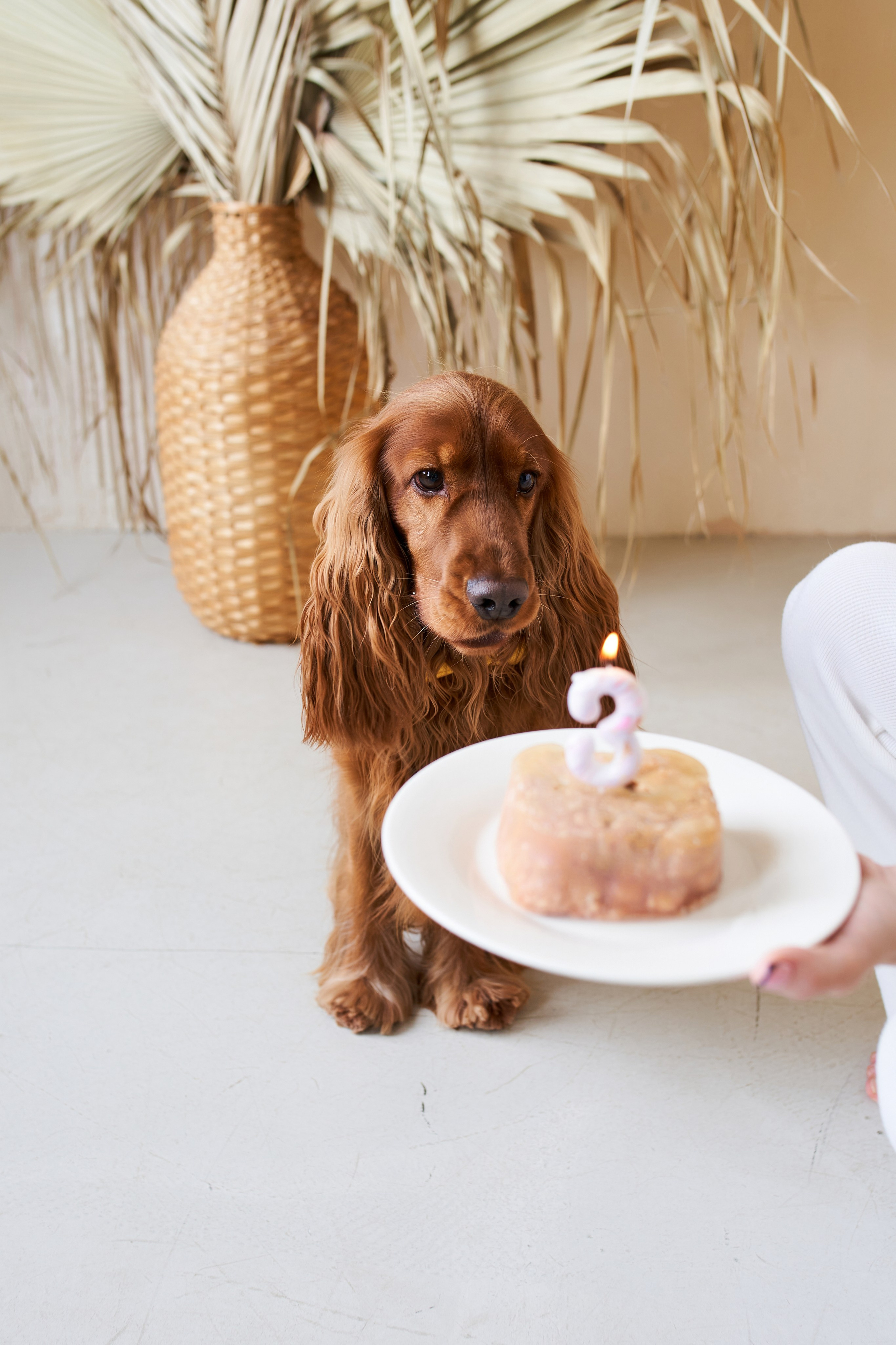 Галя и Гриша. Фотограф Александра