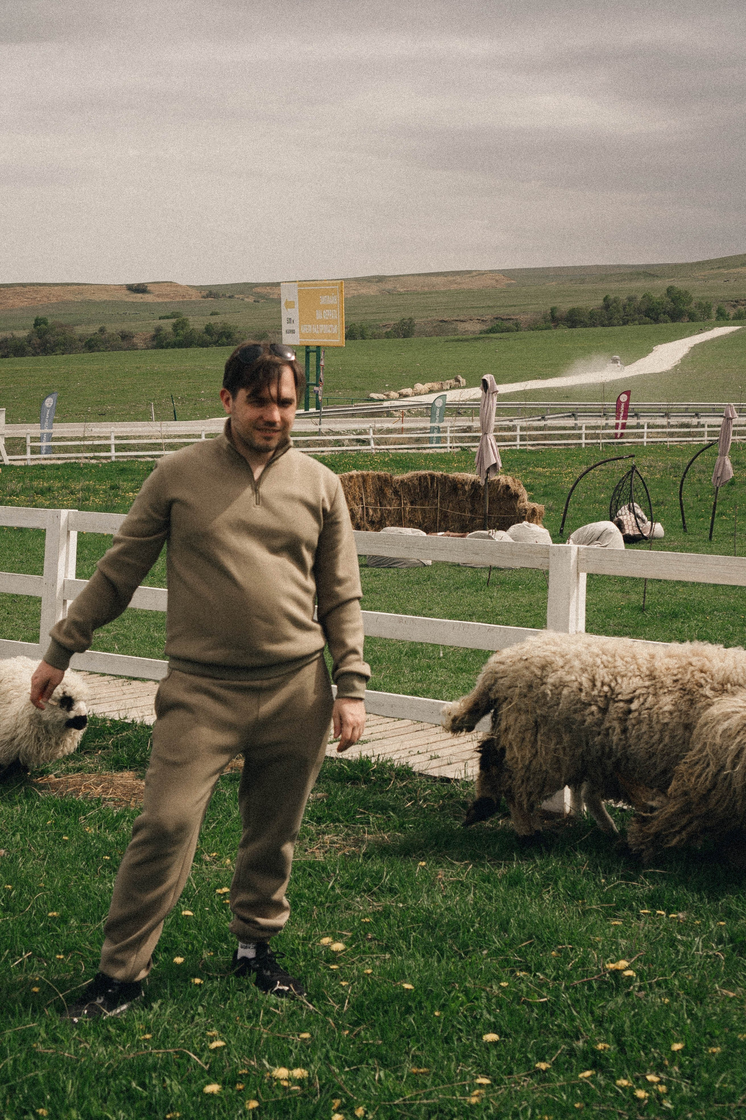 Ферма Альпак. Профессиональный фотограф, Санкт-Петербург — Виктория Богомолова