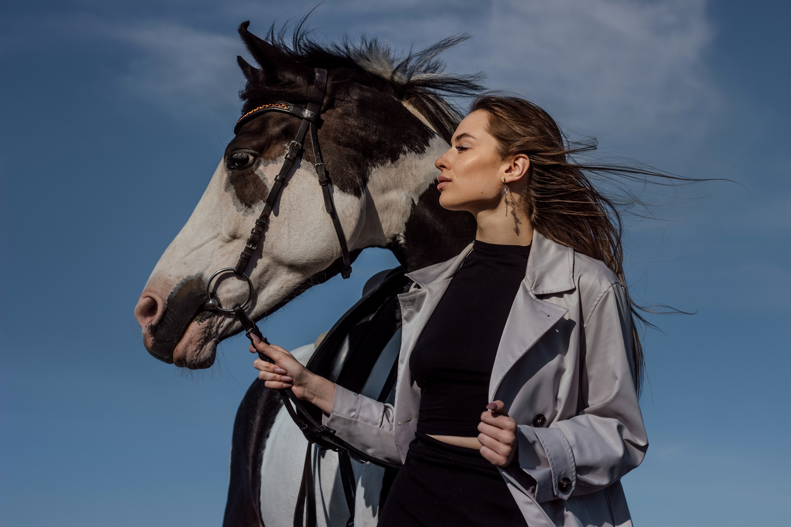 Человек и Лошадь. Главная