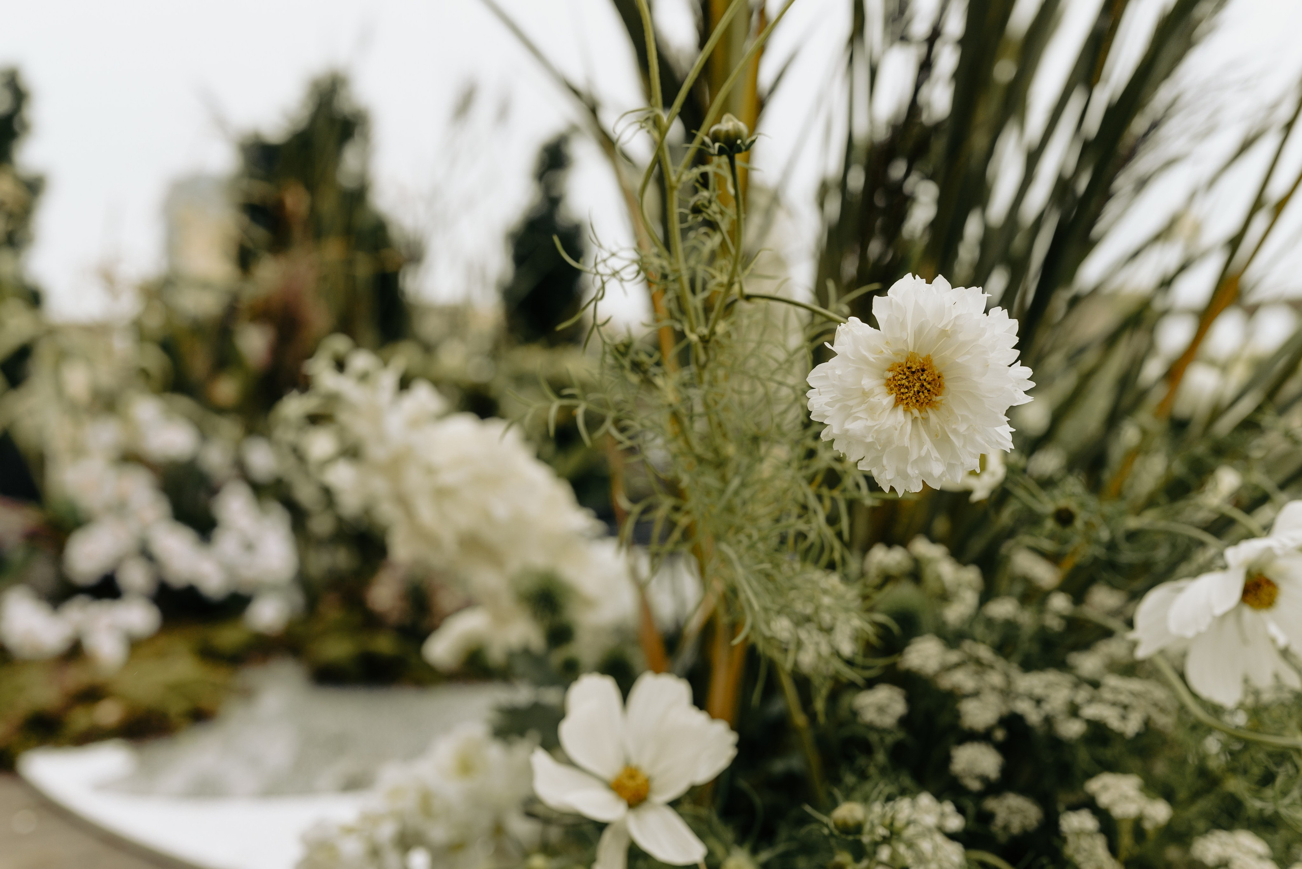 Паша и Алина. Свадебный фотограф Евгения Наумовец