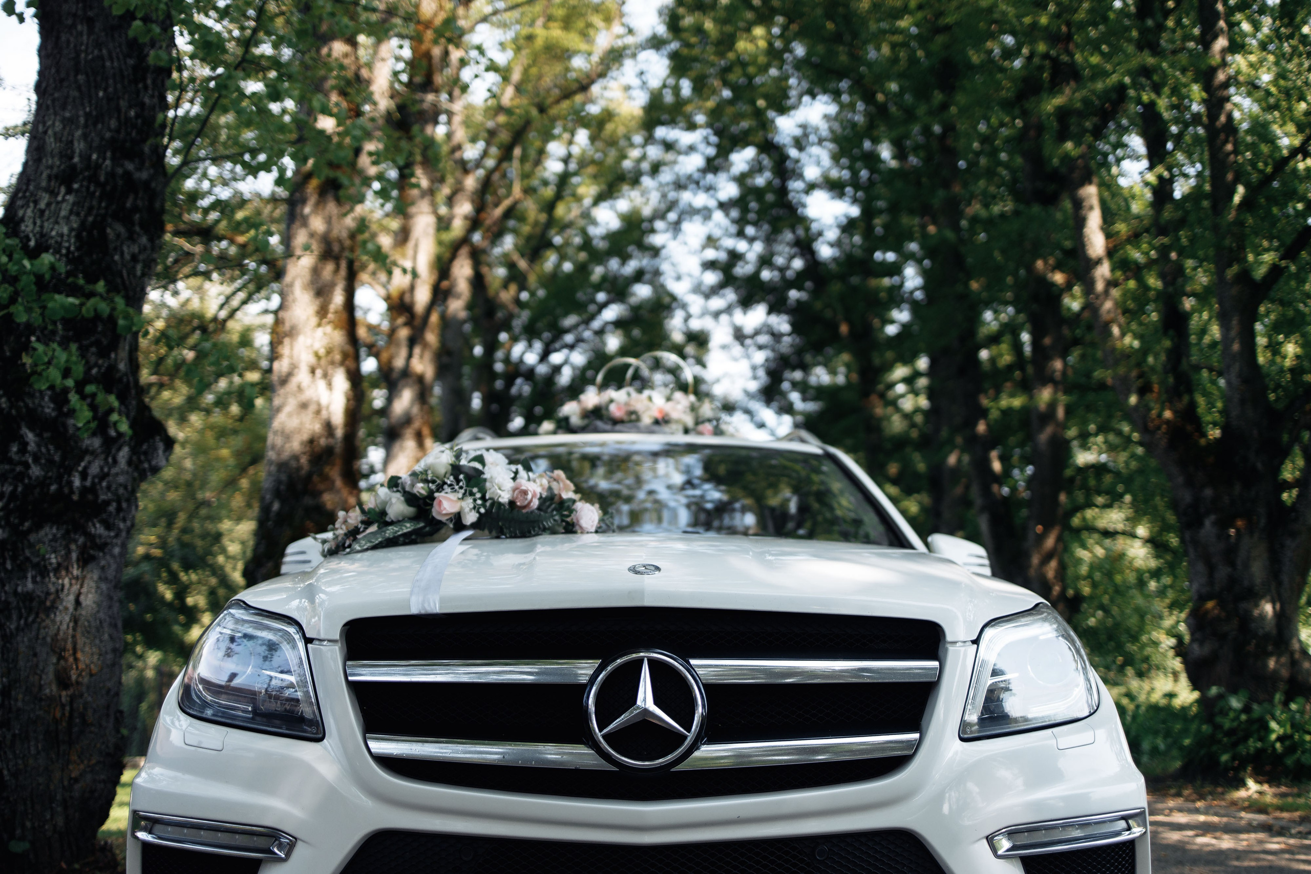 Наталья и Дмитрий. Свадебный фотограф Вашкевич Денис