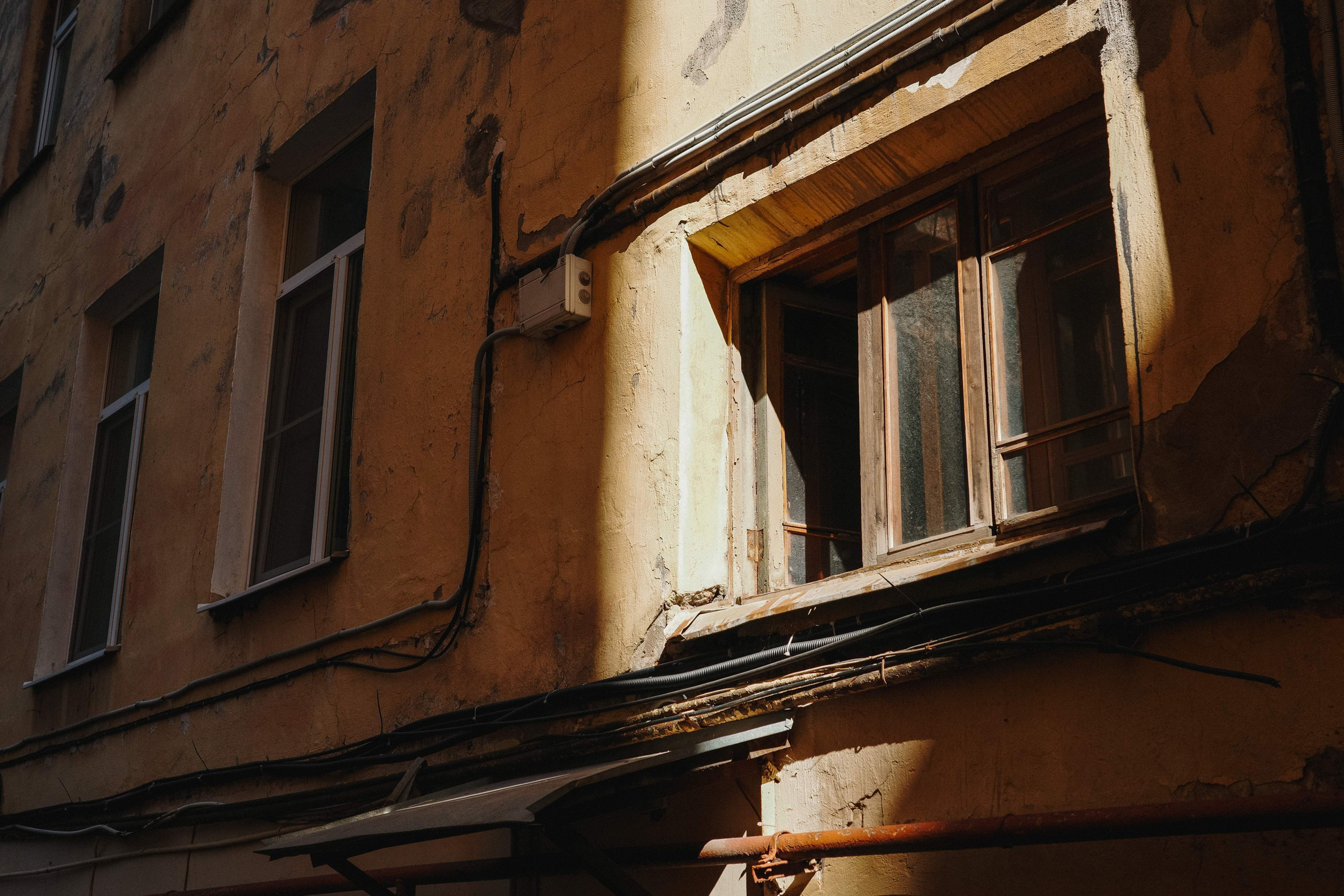 2024.08. Фотограф Алексей Алексеев