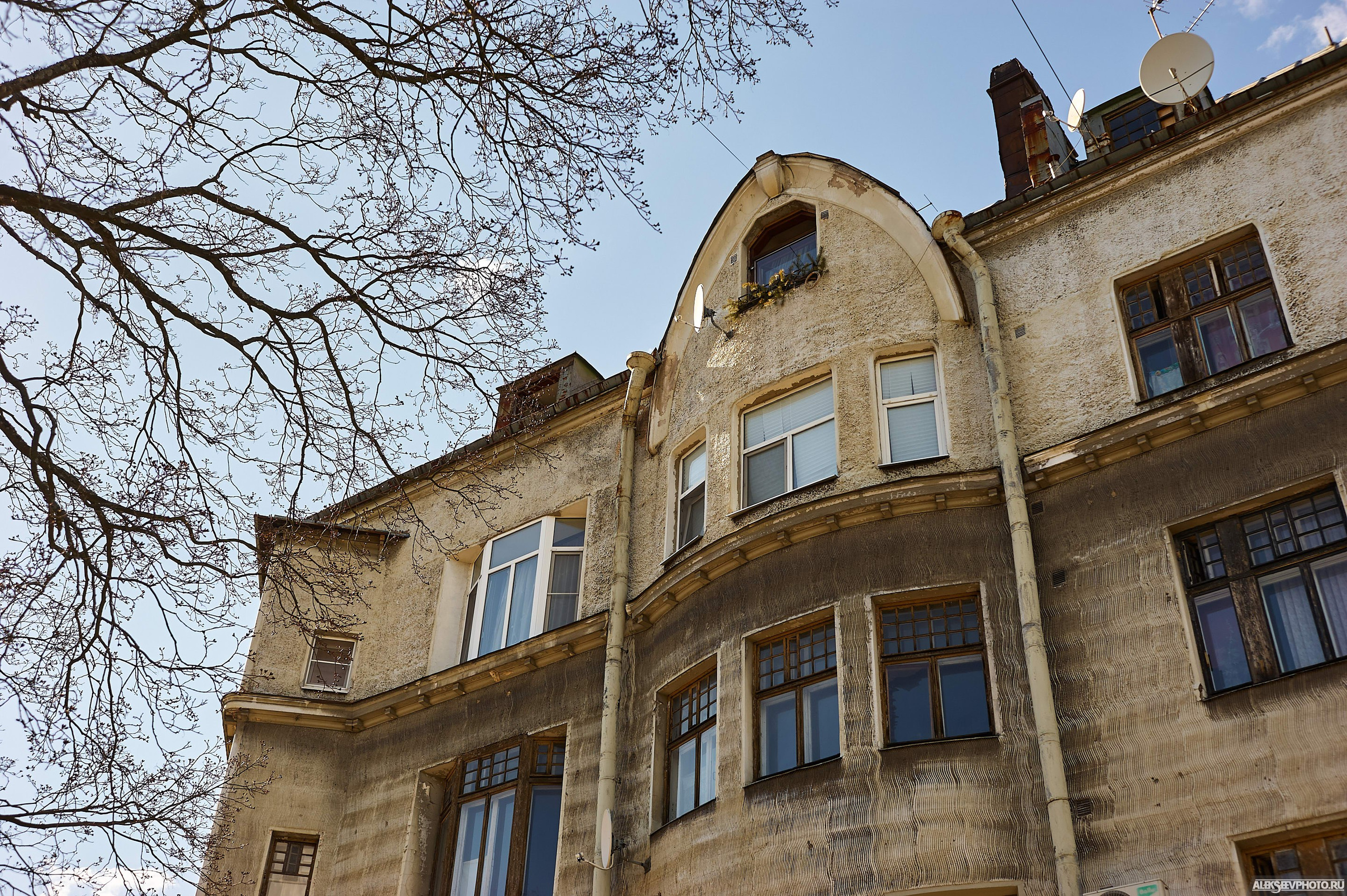 2021.05. Фотограф Алексей Алексеев