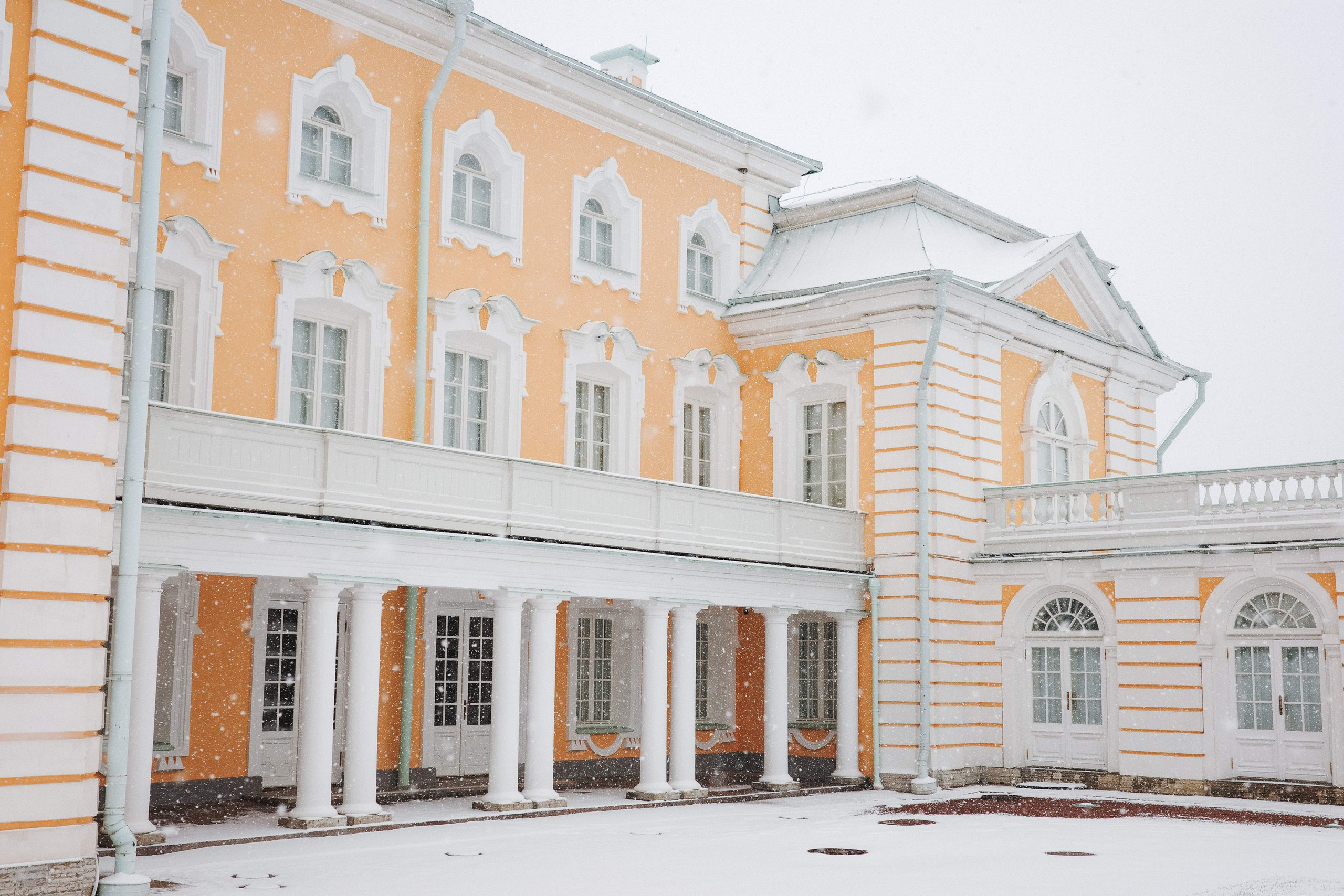 2025.02. Фотограф Алексей Алексеев