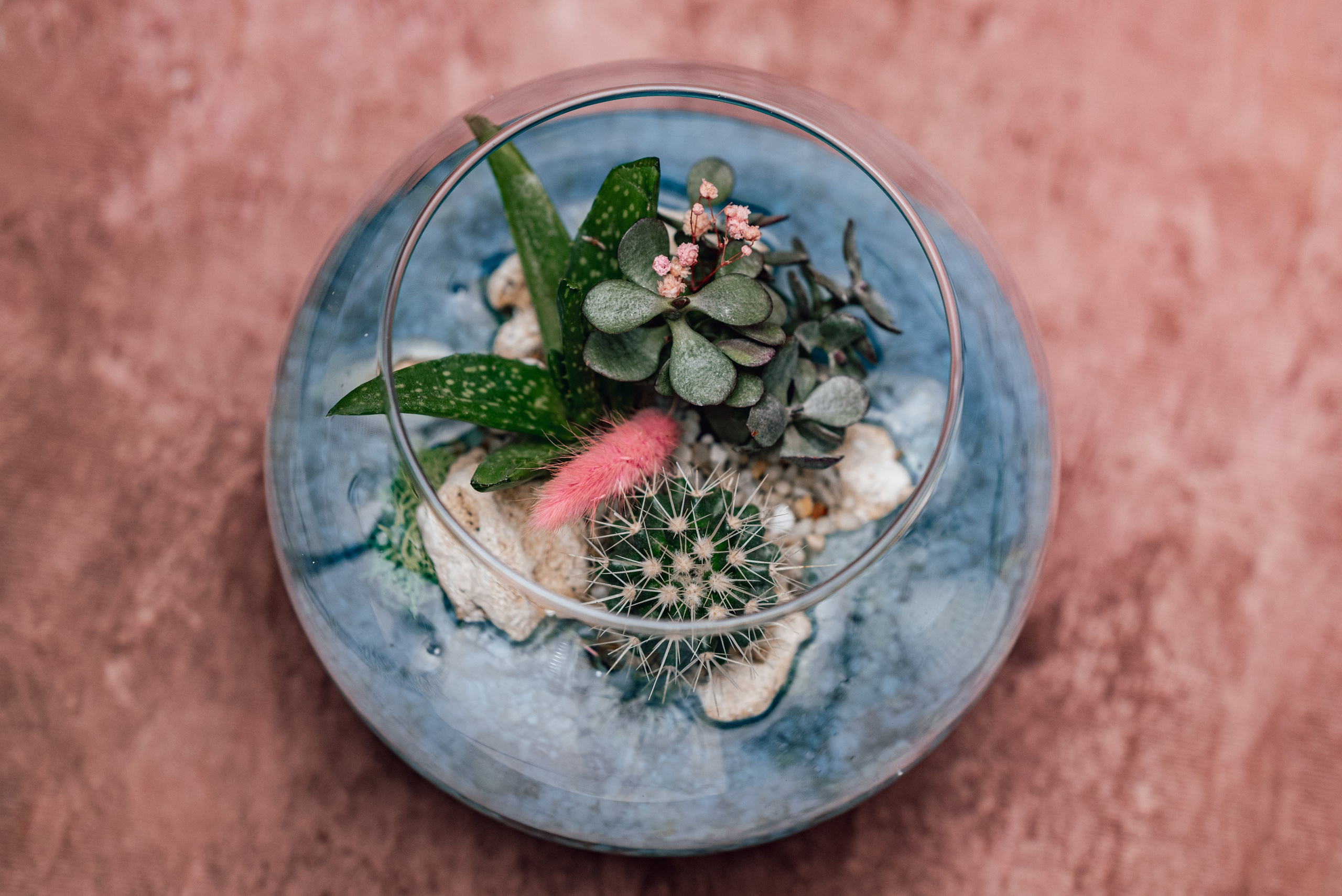 Контент-съемка для флориста. Фотограф Екатерина Шишкина. Питкяранта. Карелия