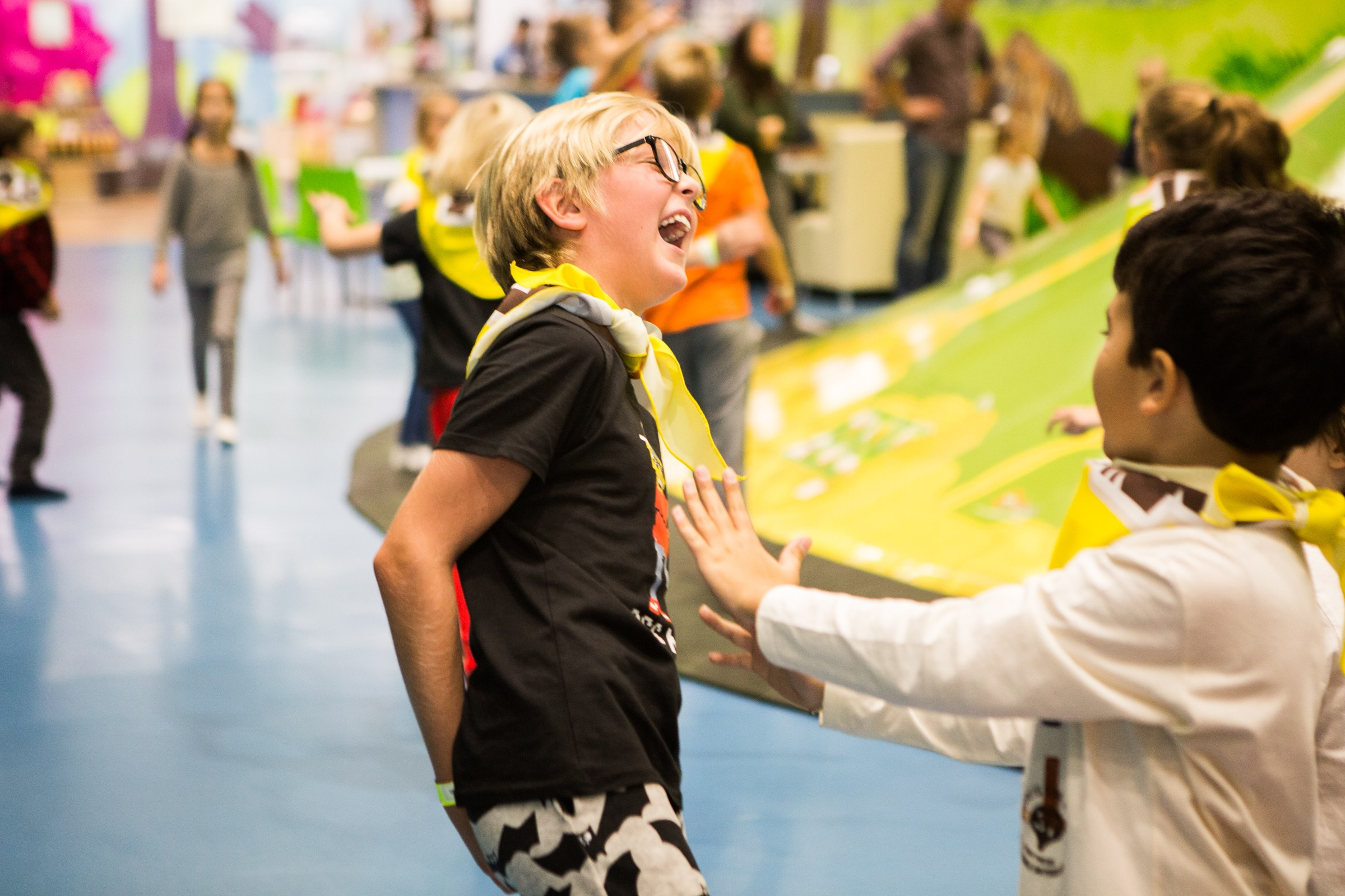 Funny Jungle. Главная