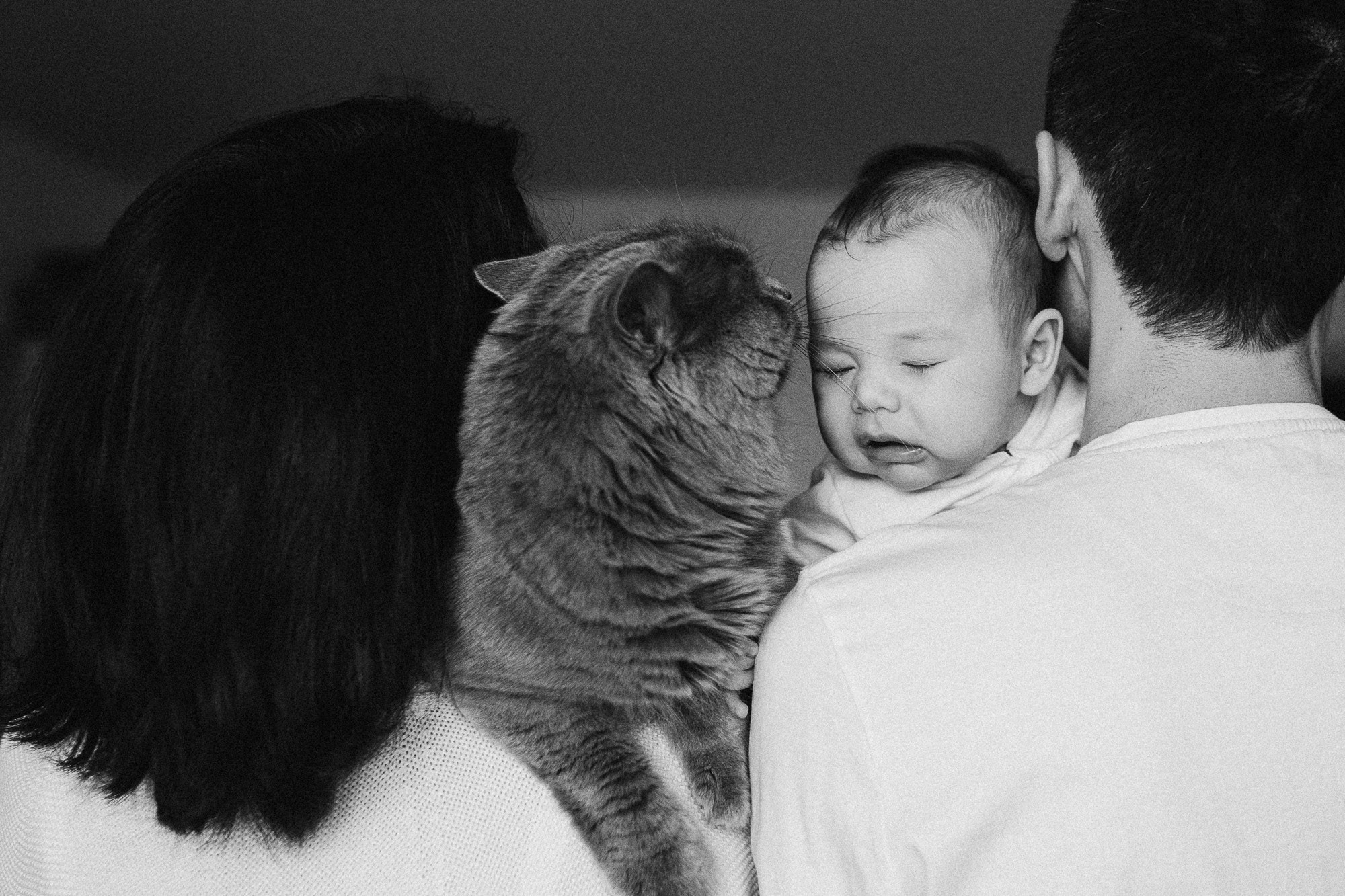 Артем + Альбина + Тимур. Лайфстайл фотограф в Чебоксарах и Санкт-Петербурге Тоня Бекнёва