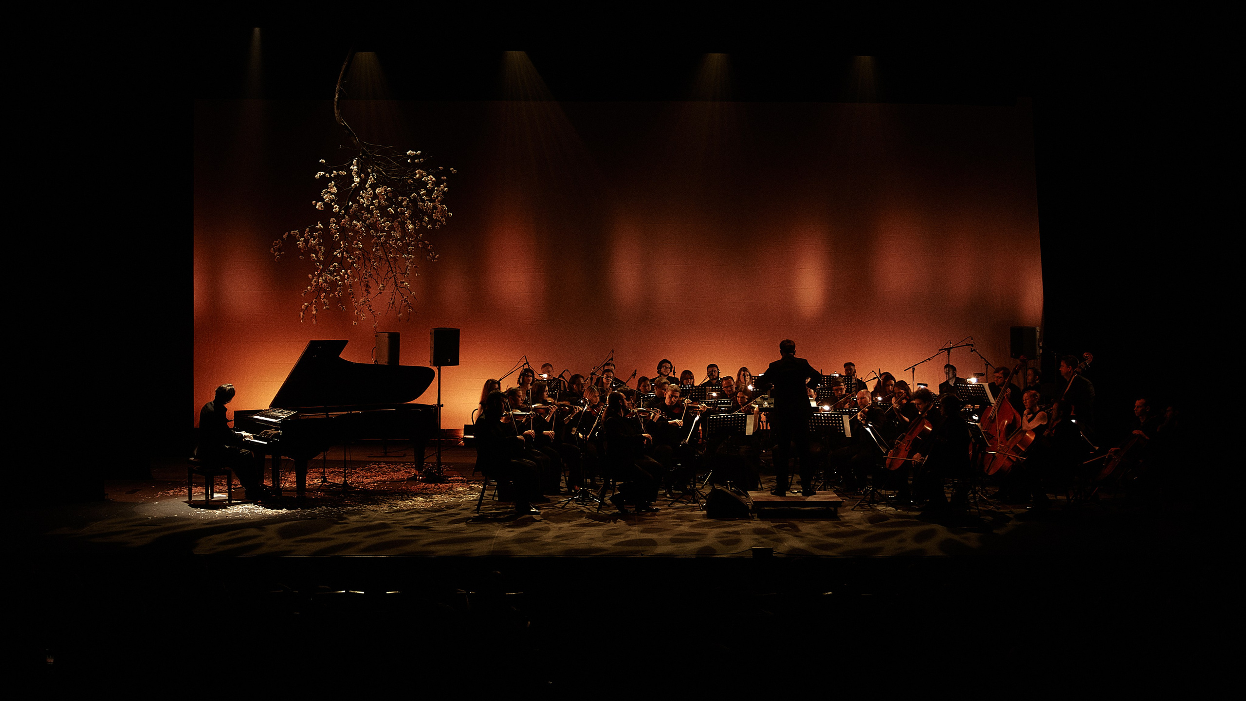 Никола Мельников / 2024. OOPS