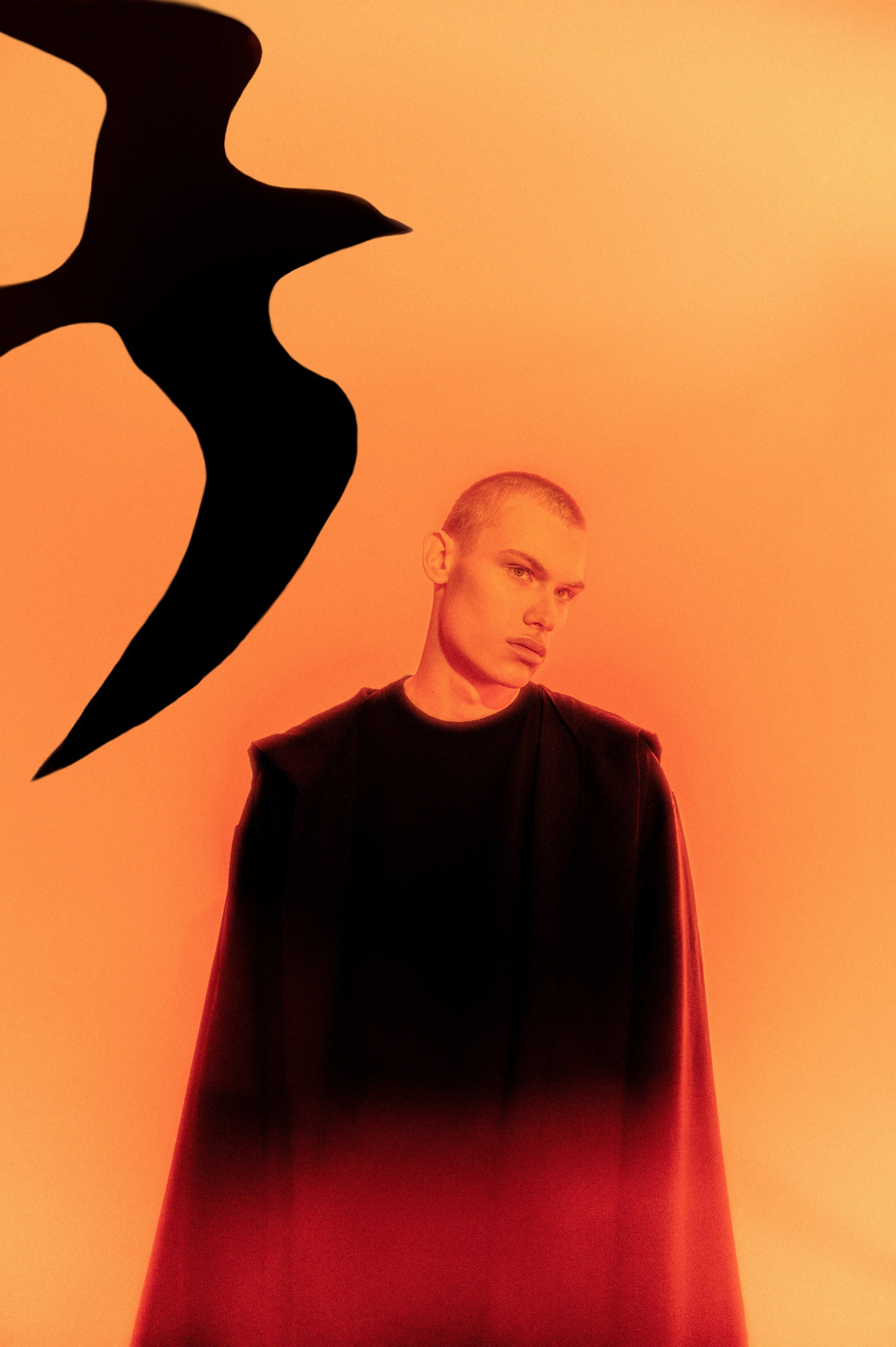 Fashion shoot “ALLEGORY OF THE SHADOWS”. Elizaveta Filchenko. Fashion-photographer and director