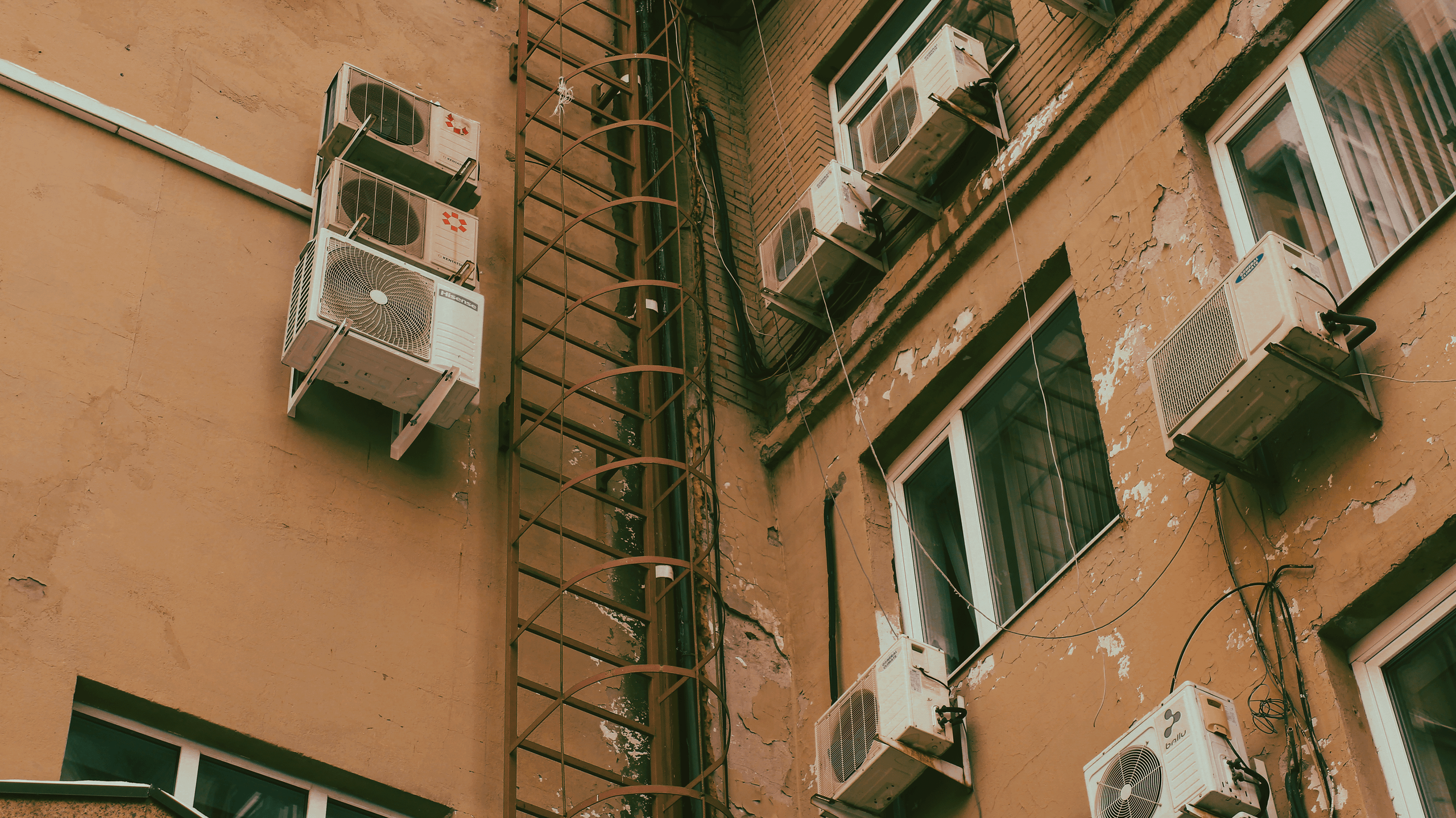 TMN autumn '24. Фотограф/дизайнер в Екатеринбурге Хитрый Дмитрий