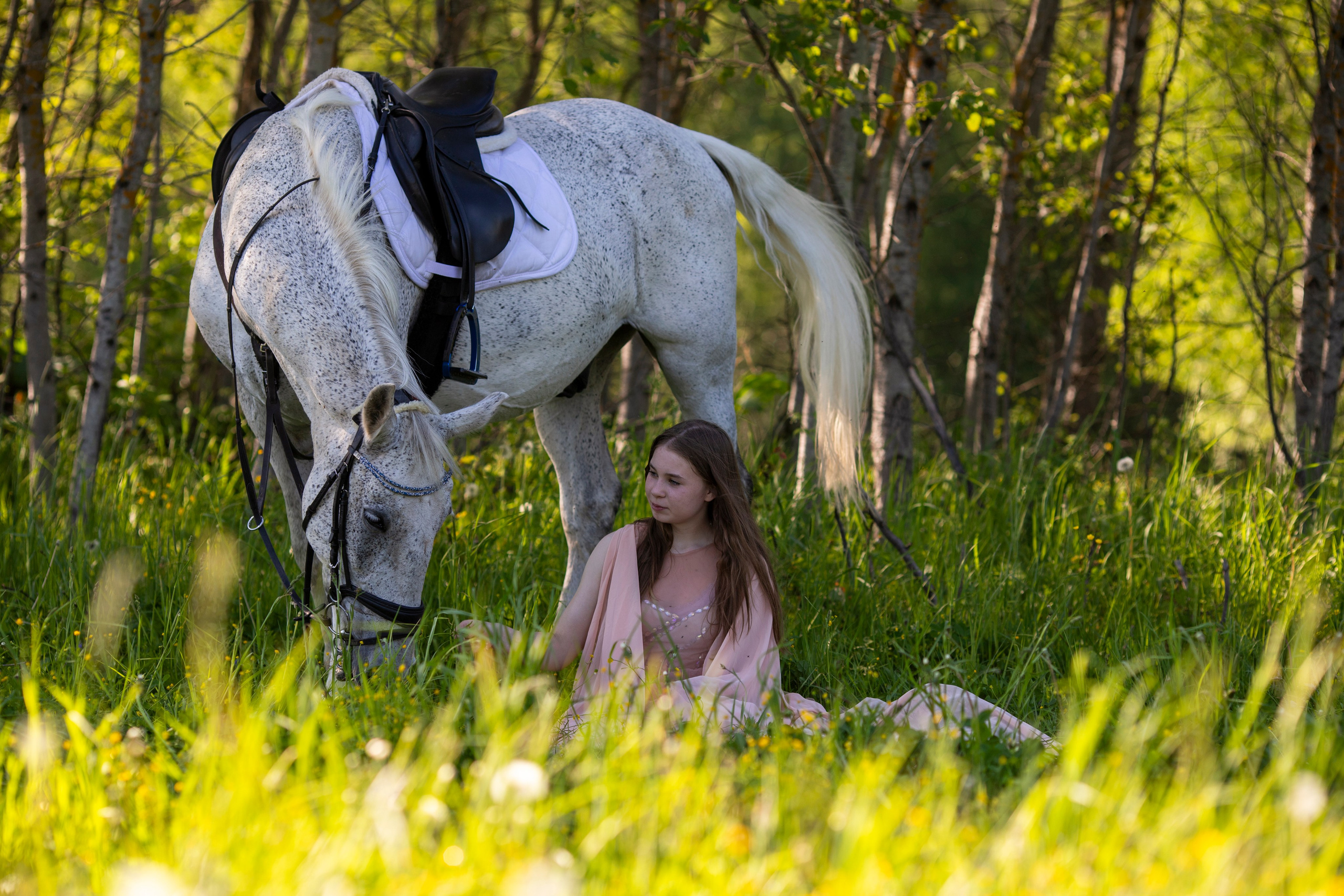 С лошадьми. Фотограф в Москве и в Московской области Сандра