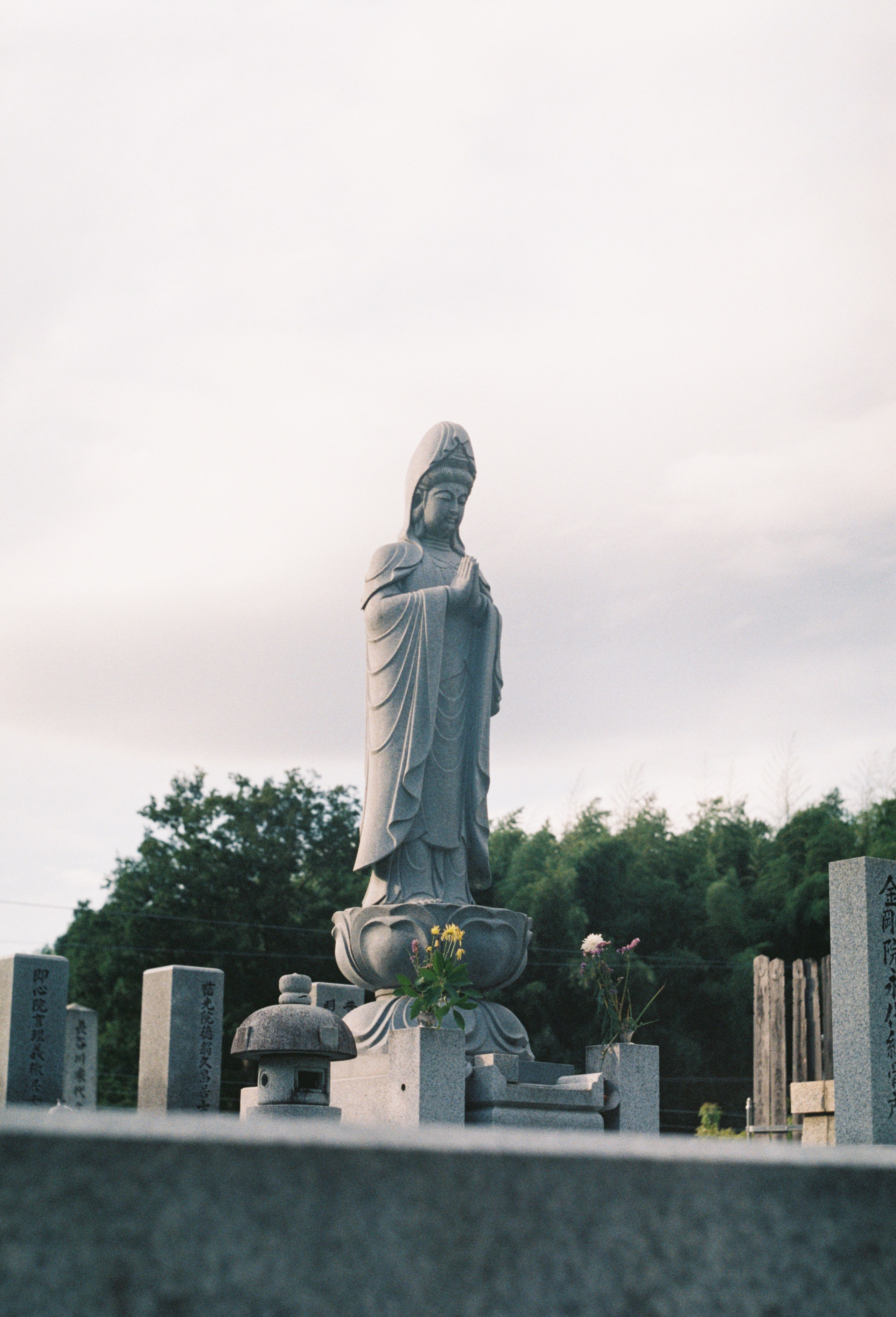 Street/Стрит. VladGauss | Photographer/Videographer