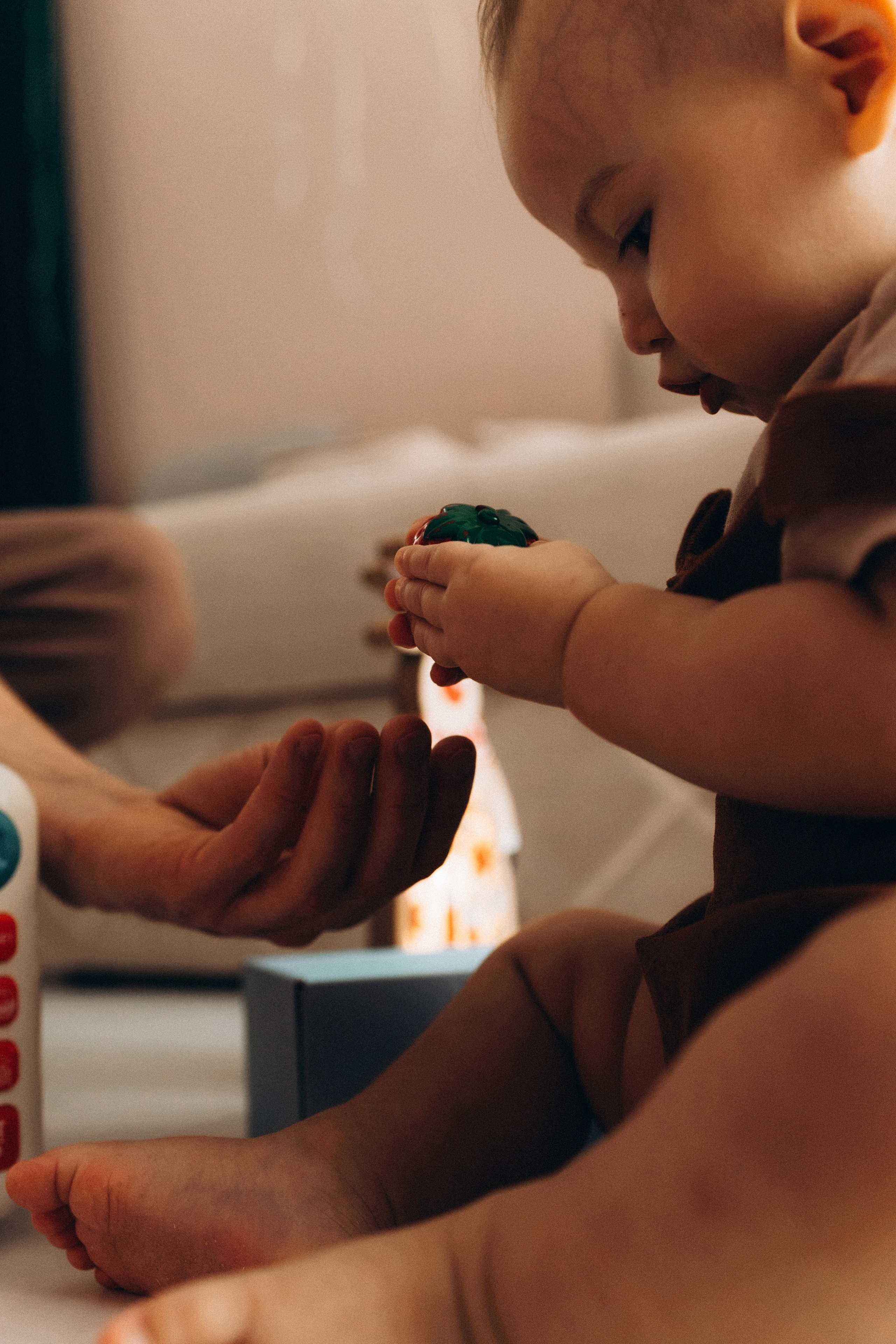 Владимир, Ирина и Алиса