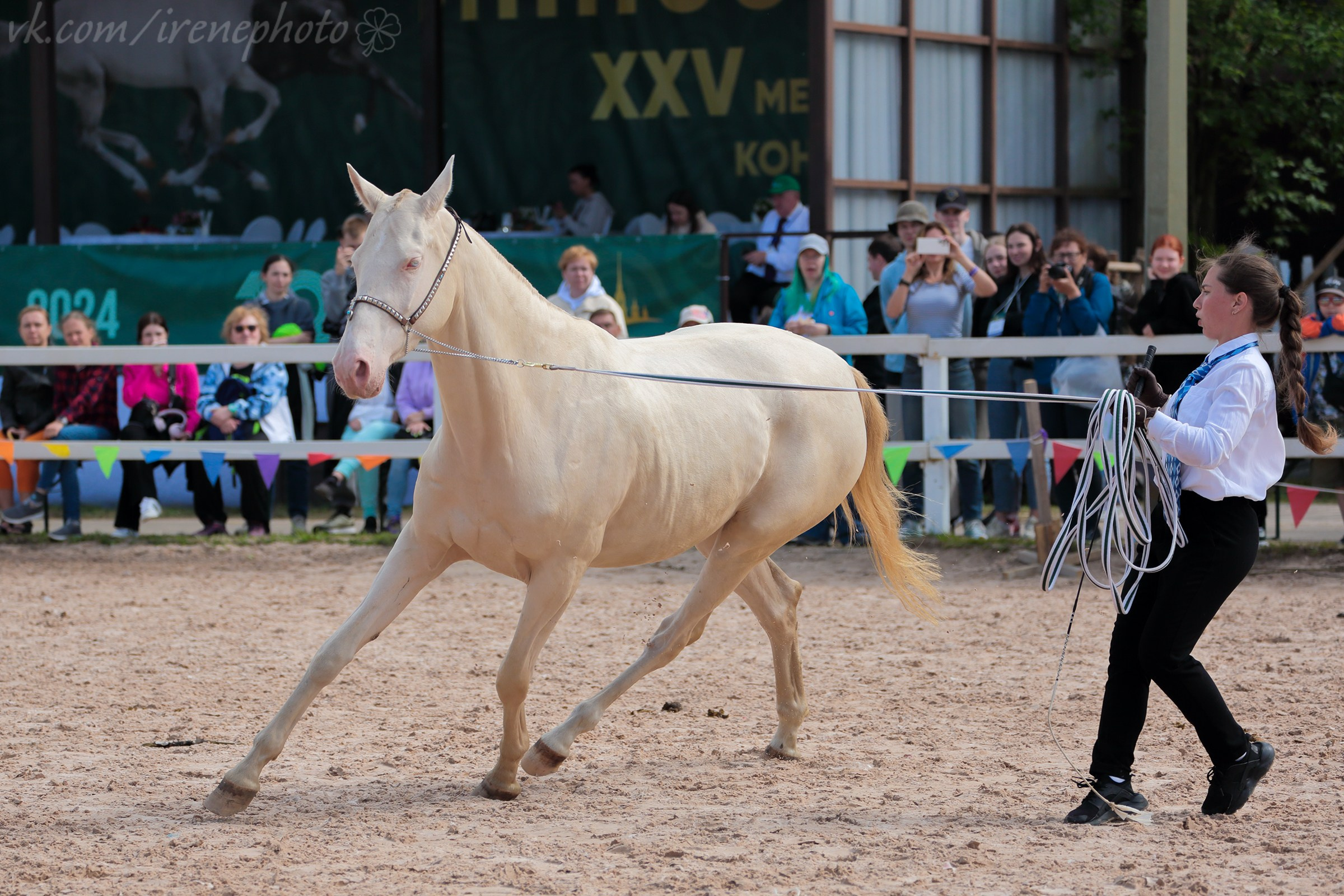 Иппосфера 2024. Irenephoto.ru