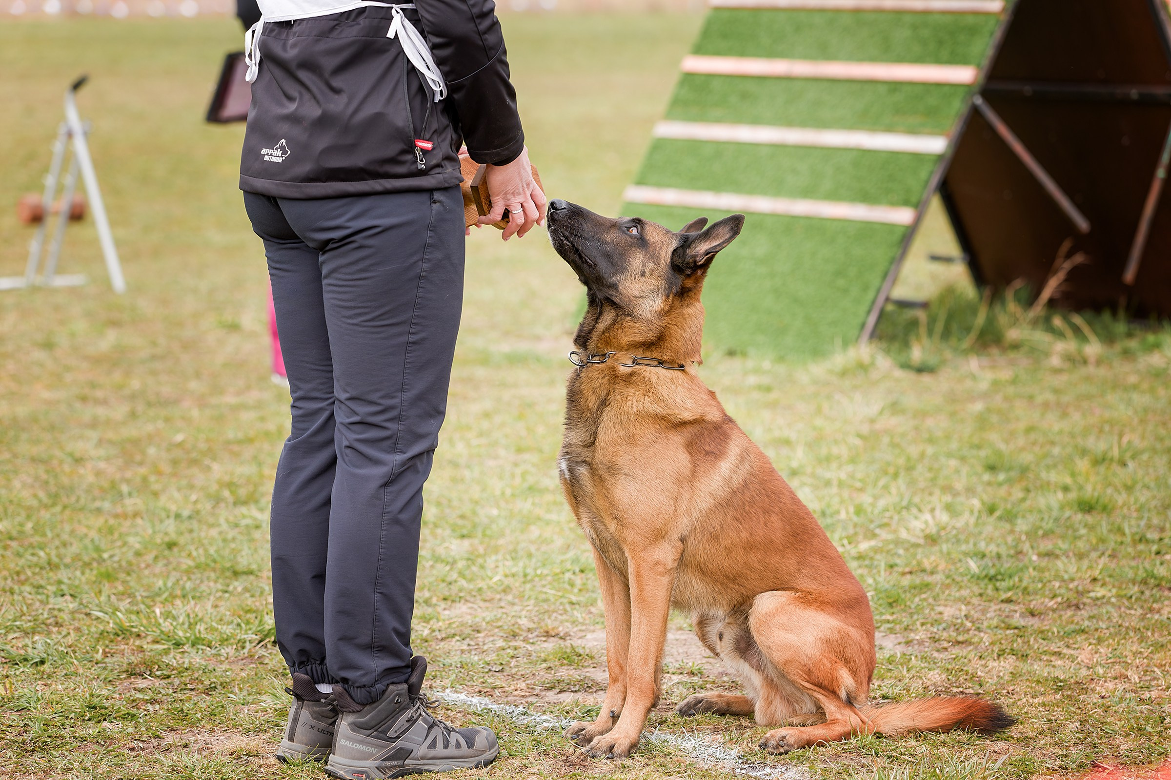 Чемпионат СЗФО по IGP 1 — 3. Irenephoto.ru