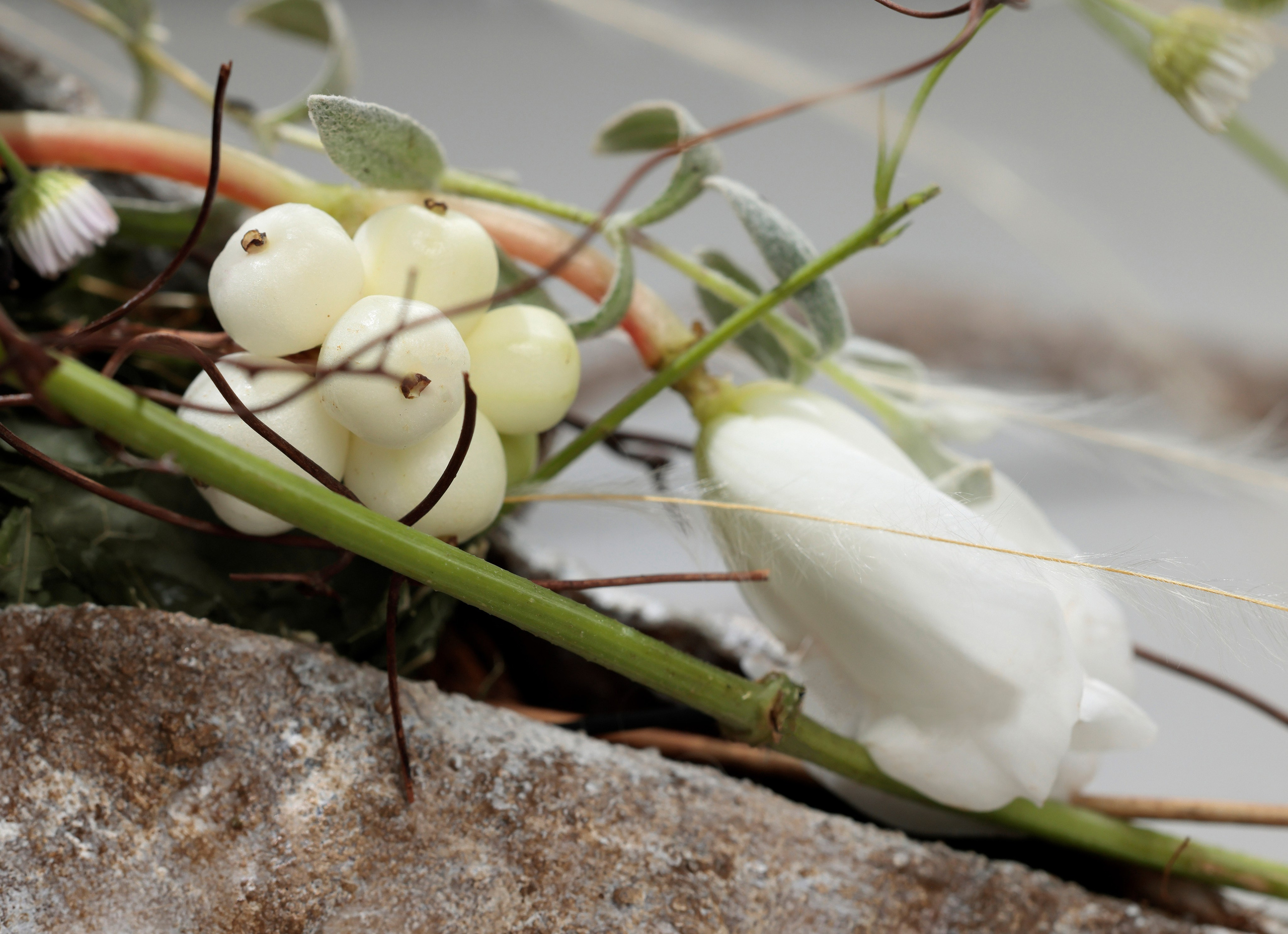 Флорист: Жанна Семёнова.