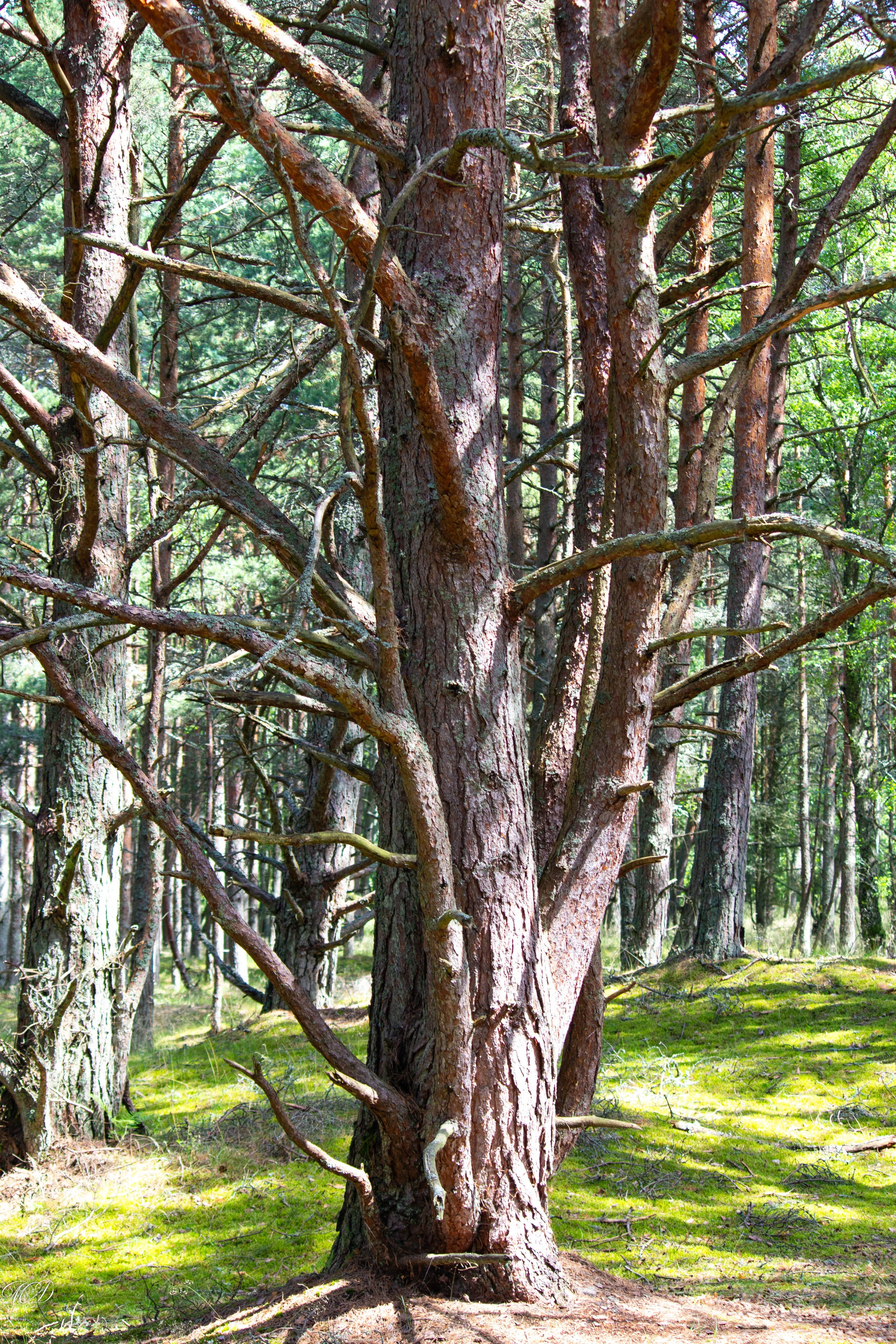 Калининградская область. Михаил Дёгтев - фотограф