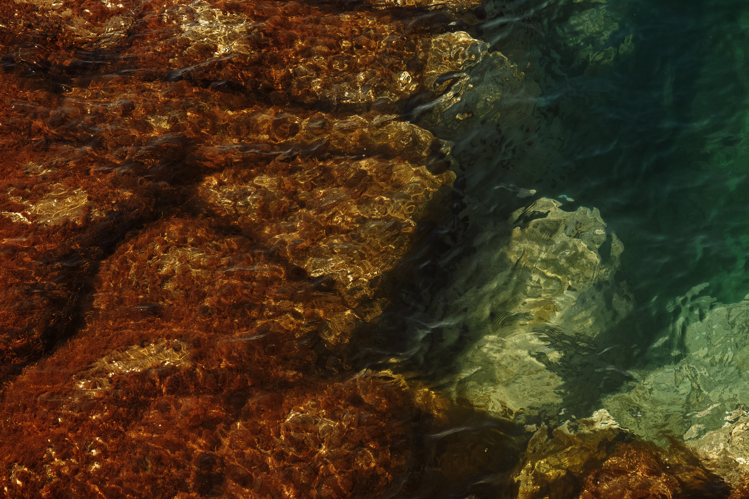 Разное. Портретный фотограф, Славянка