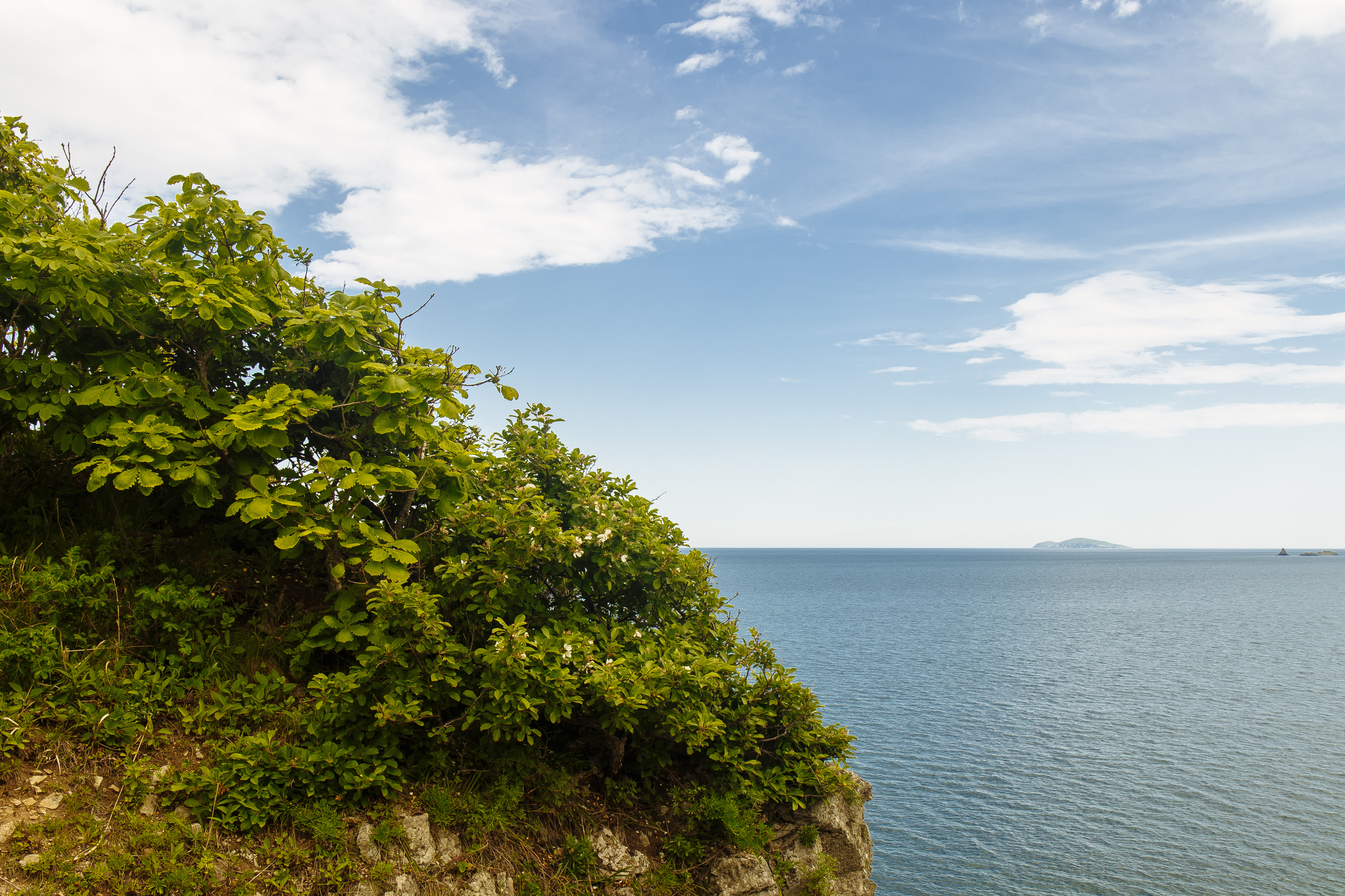 Разное. Портретный фотограф, Славянка