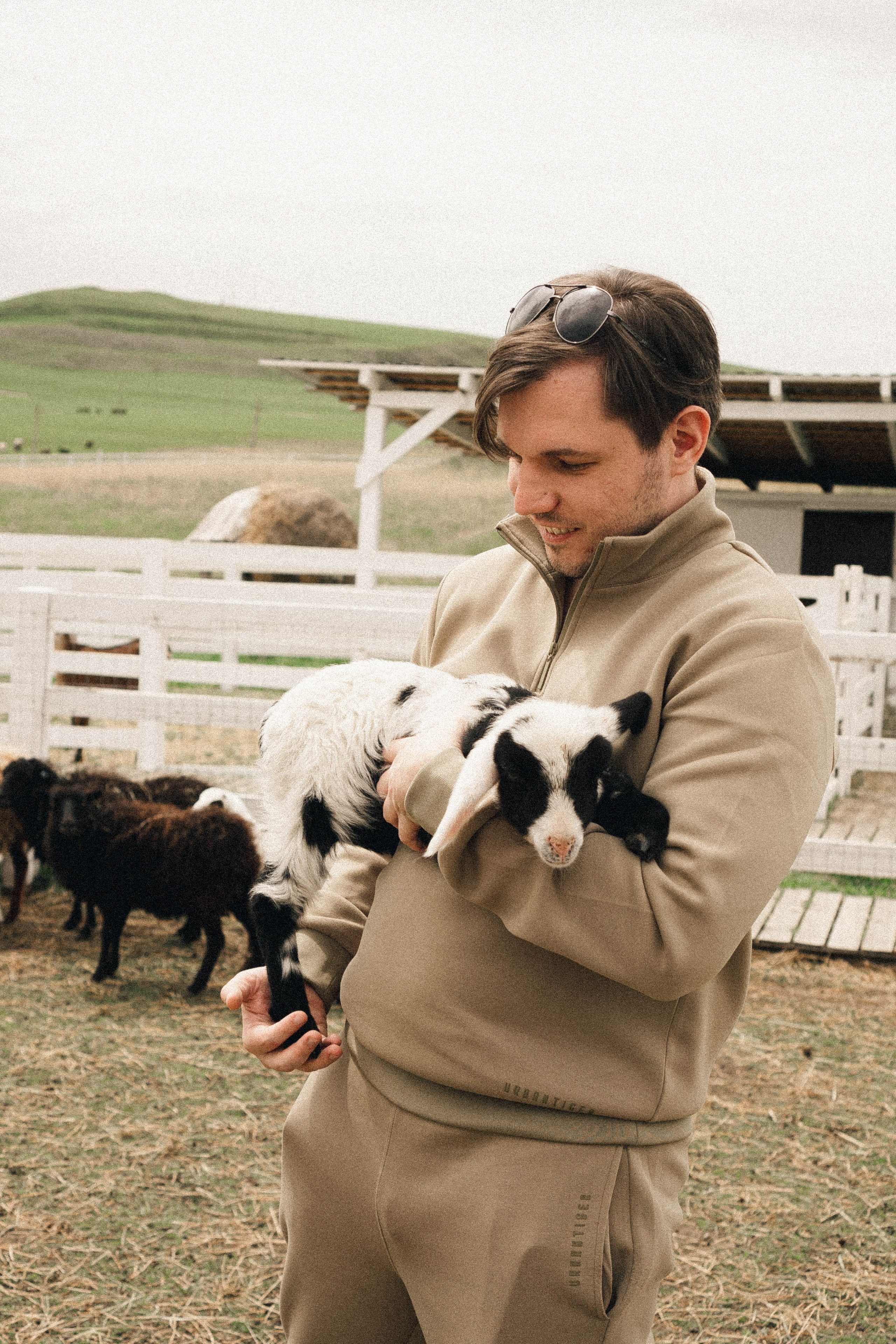 Ферма Альпак. Профессиональный фотограф, Санкт-Петербург — Виктория Богомолова