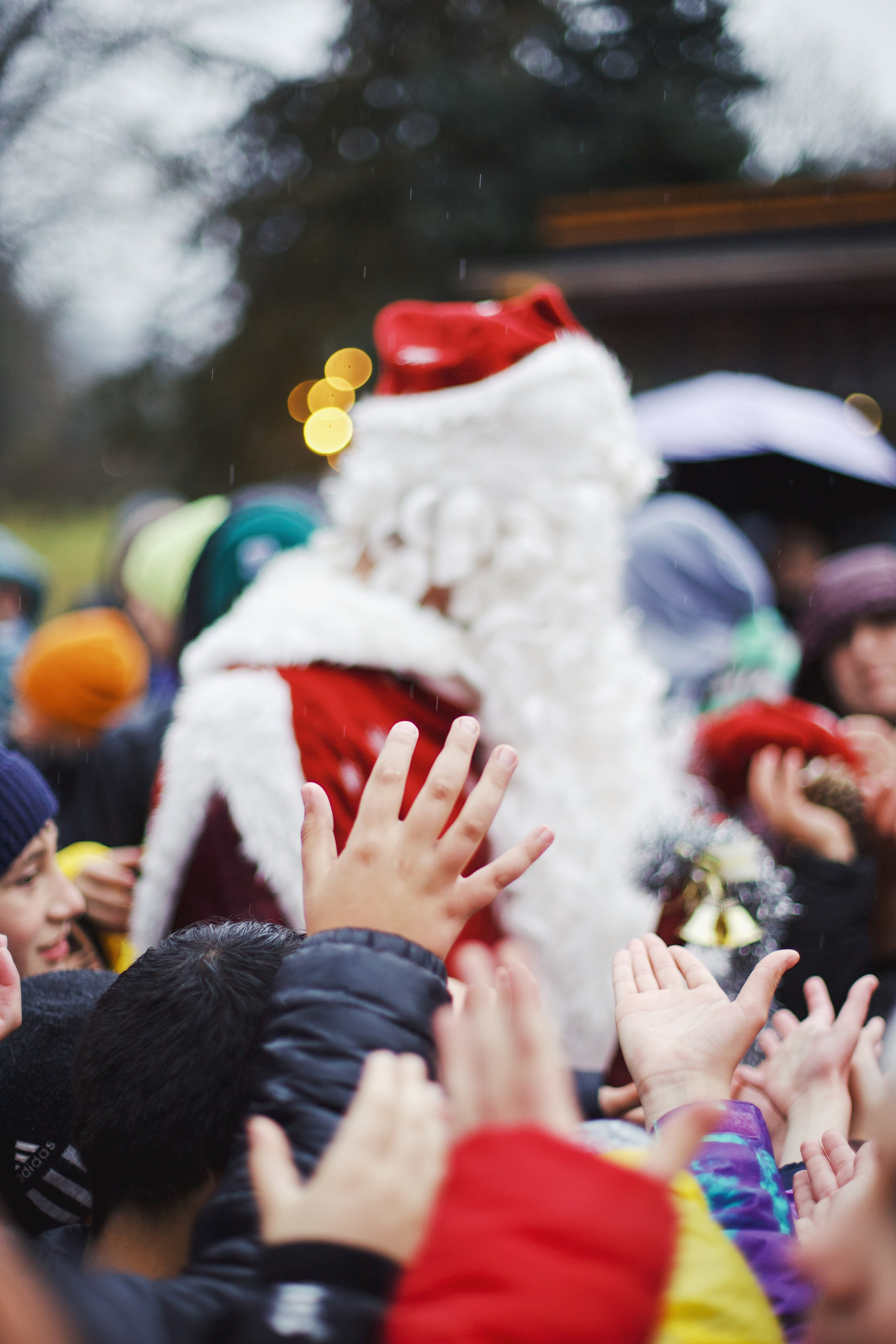 Christmas Tree opening in Dilijan city park. Фотограф в Армении Женя Гилевич