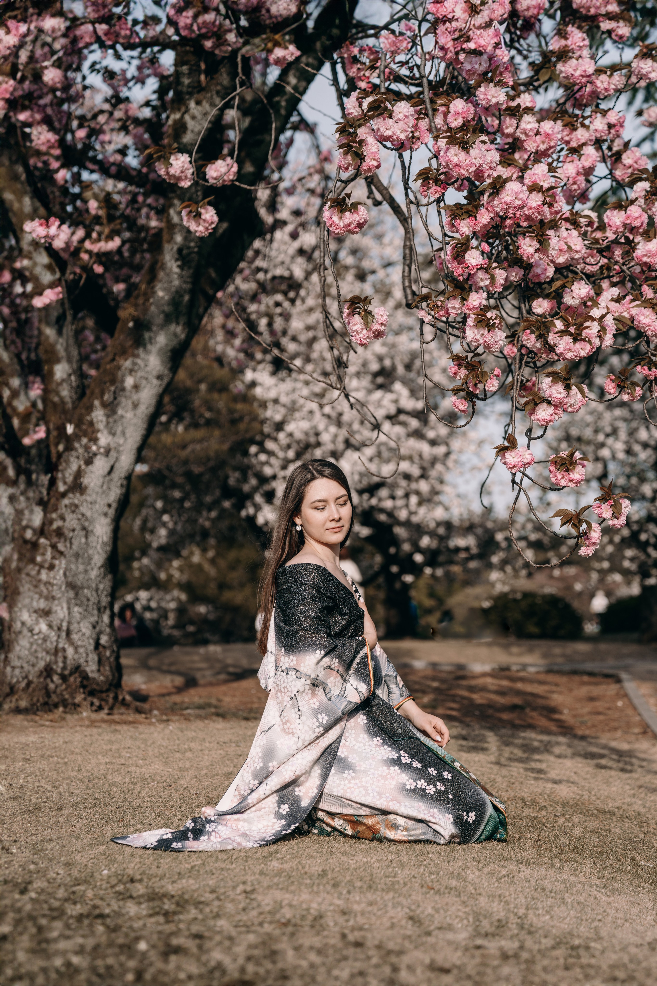 Sakura. Фотограф Алина Диева Москва | Токио