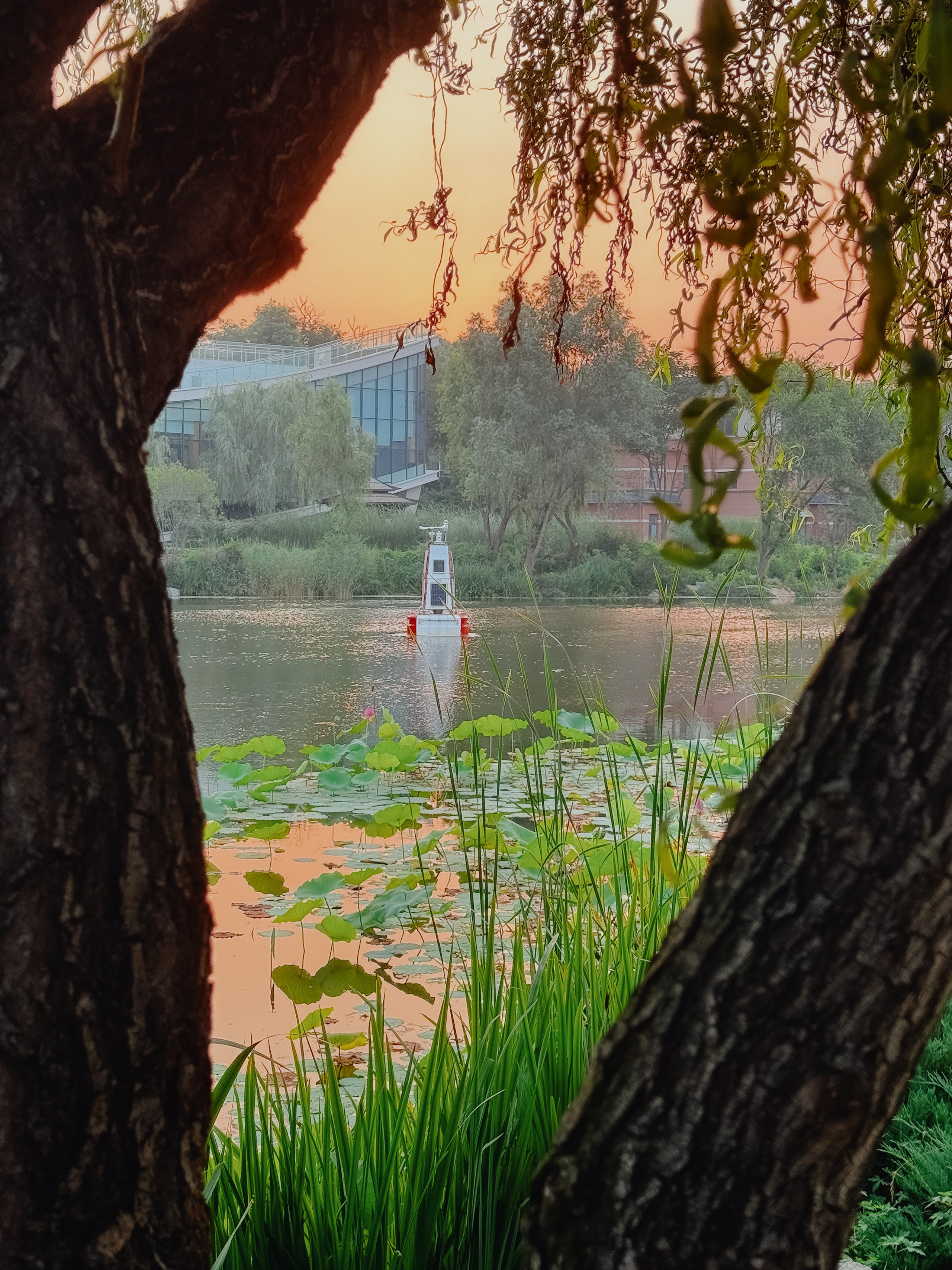 Китай. Фотограф Екатерина Огродничая Тюмень