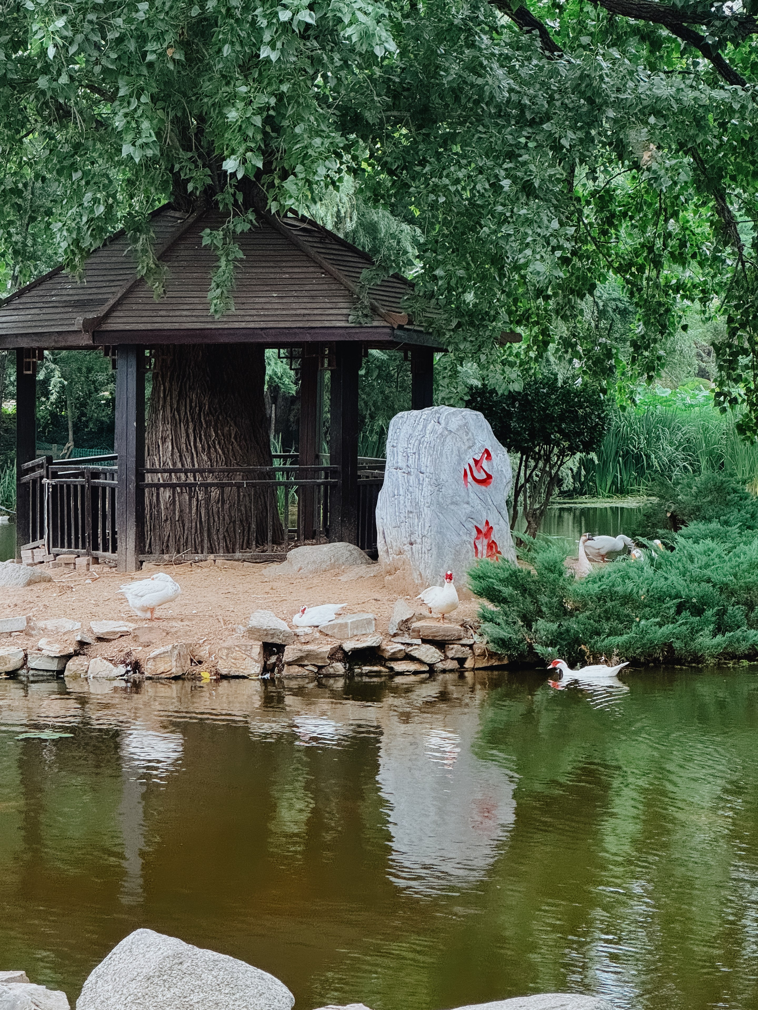 Китай. Фотограф Екатерина Огродничая Тюмень