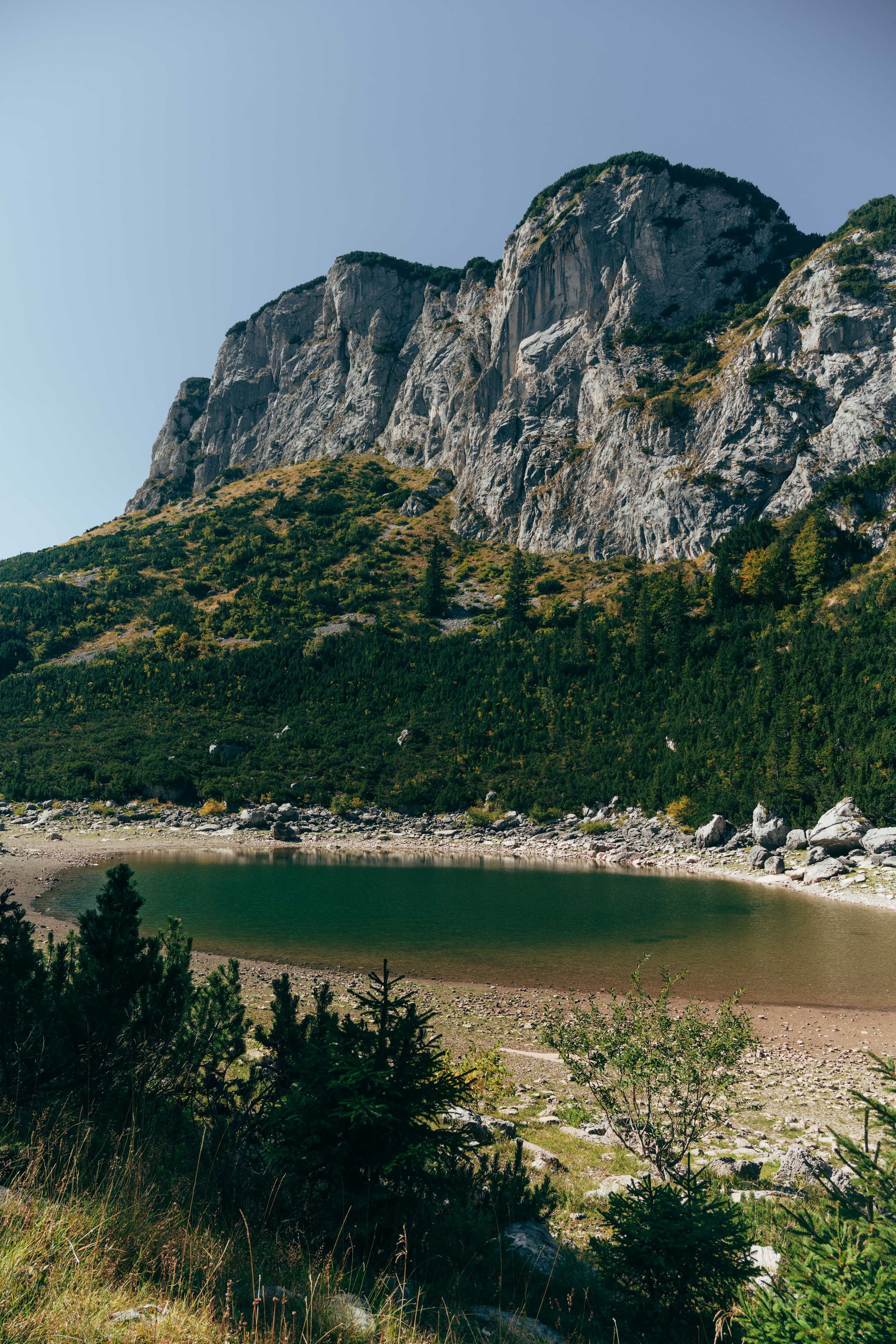 ЦРВЕНА ГРЕДА. ЧЕРНОГОРИЯ. Фотограф в Белграде Чугреева Елена
