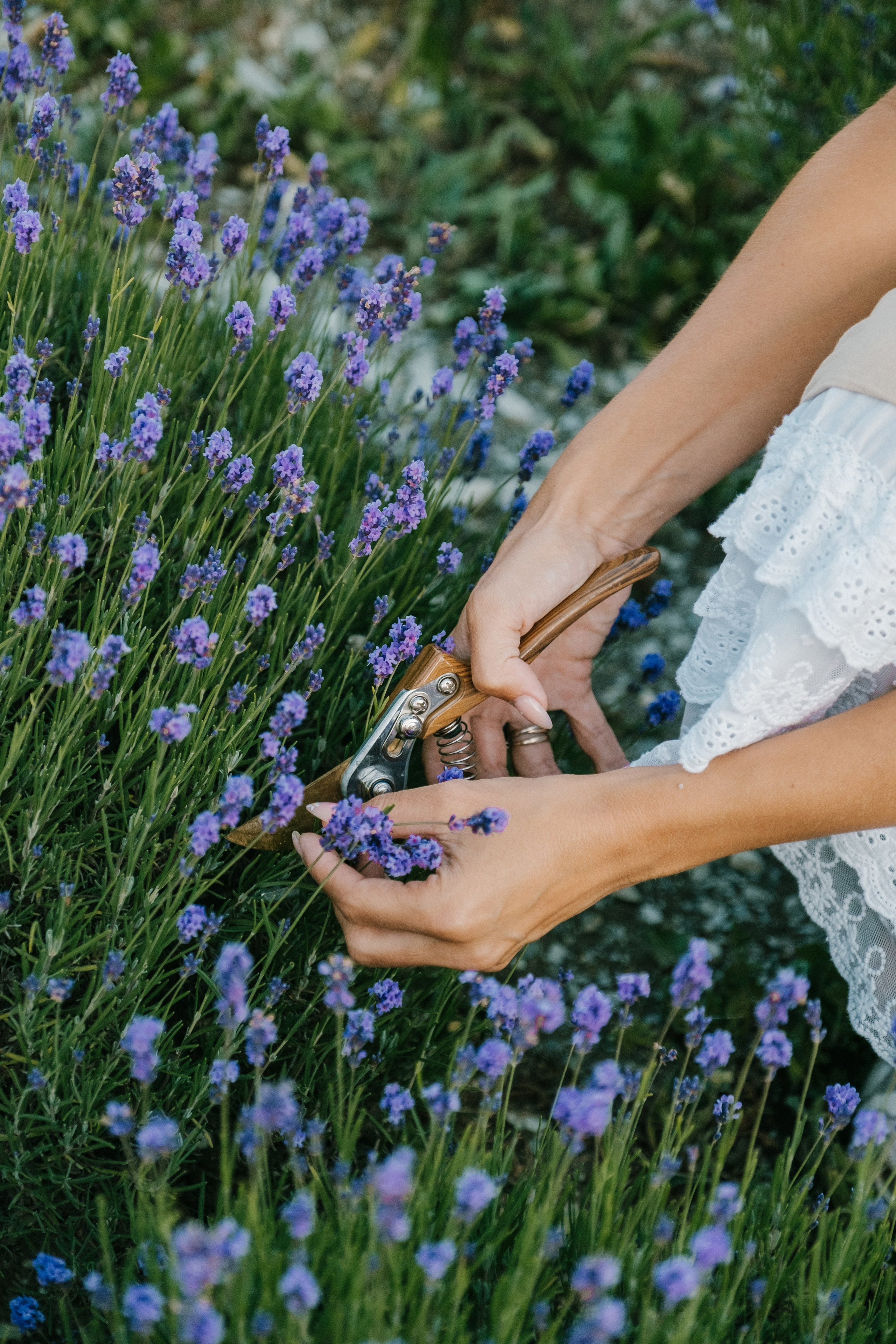 Ксения. Фотограф в Кемерово Анастасия Филаткина