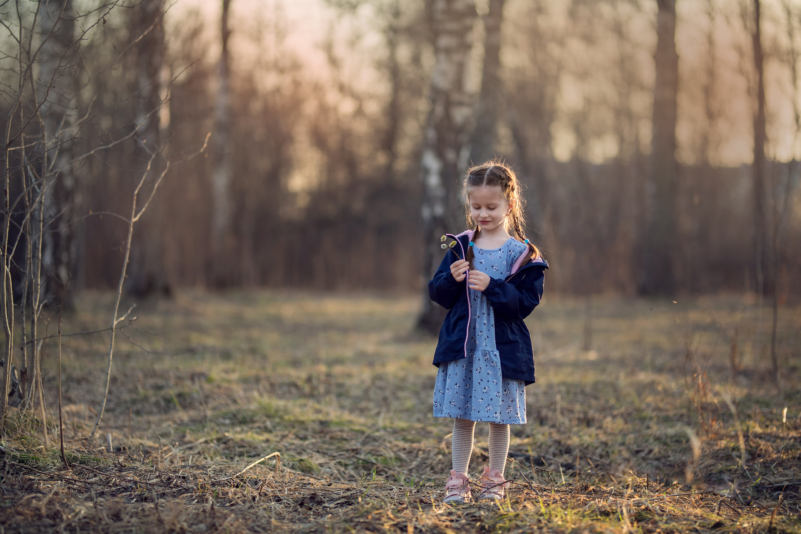 Ранняя весна. Сайт