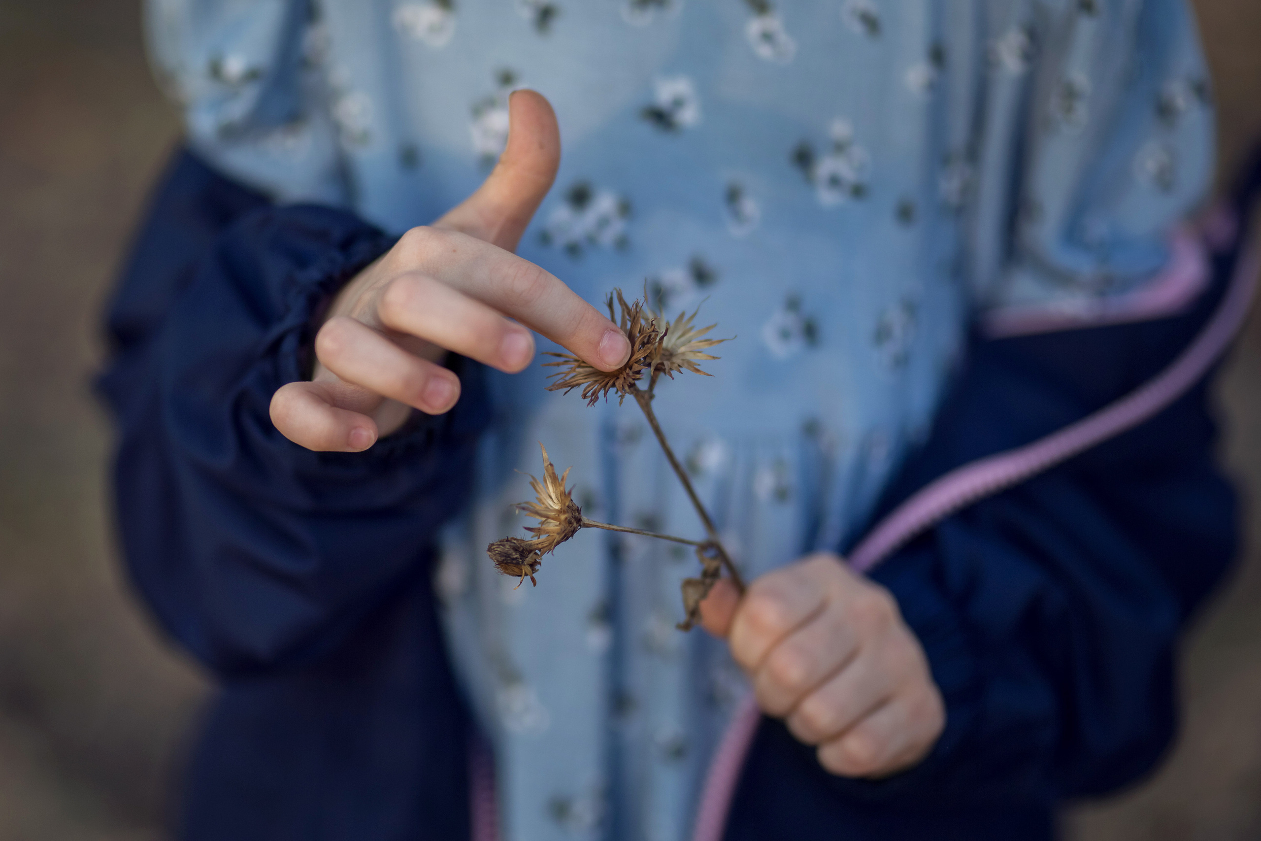 Ранняя весна. Сайт