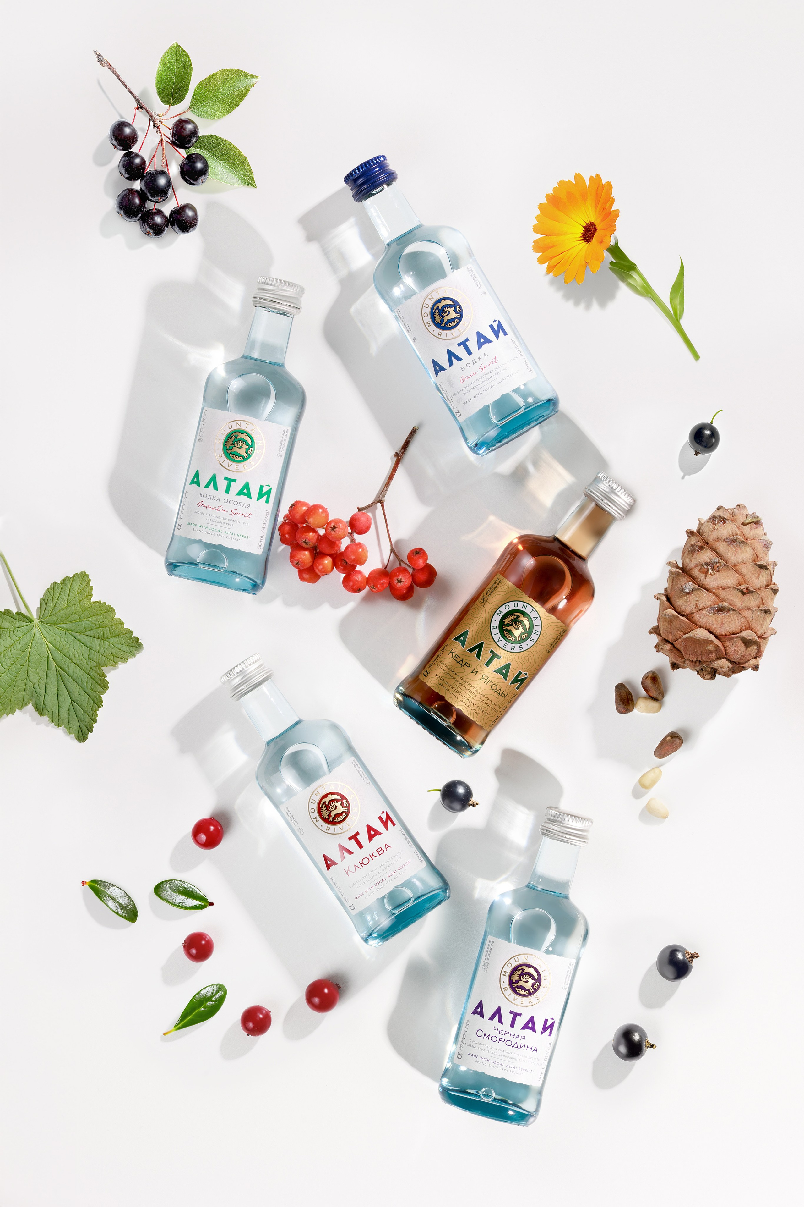 бутылки водки с ягодами смородины, клюквы и черемухи и с кедровыми орехами на белом фоне. Фудфото напитков.