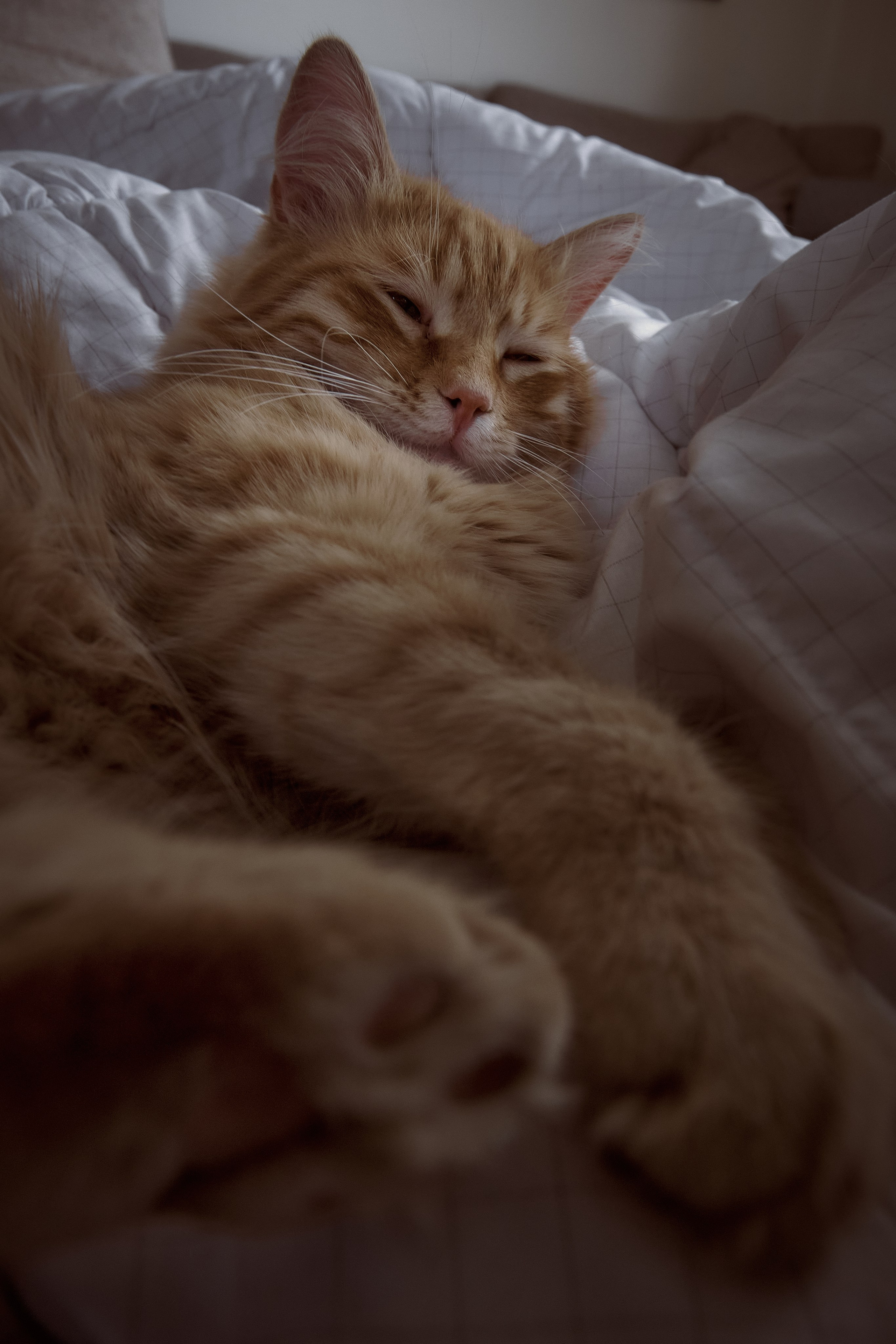 Сyprus > 2024 / april. Aleksandr Kobtsev