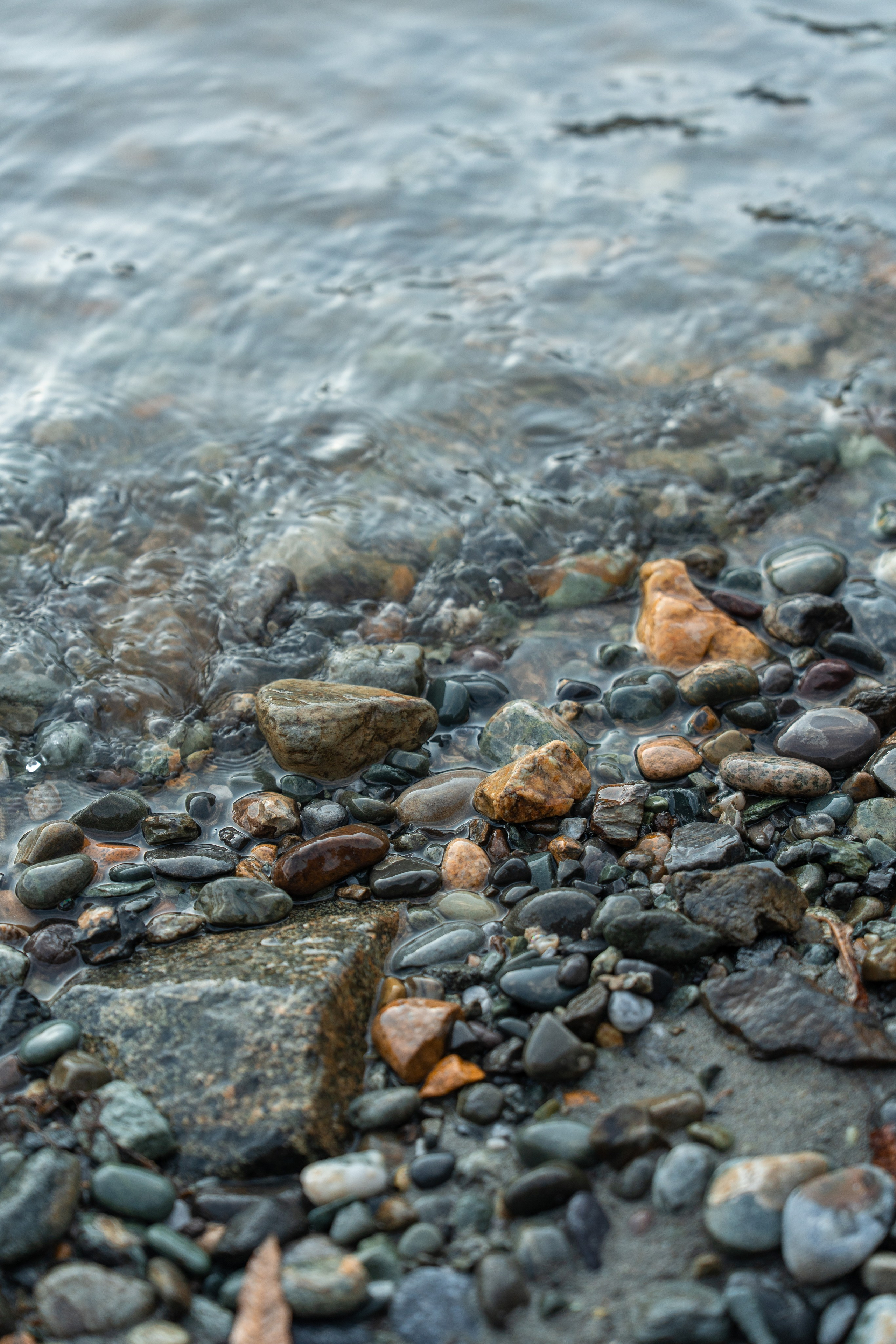 Семейная фотосессия в Москве для большой семьи. Свадебный фотограф в Москве Анна Полушина