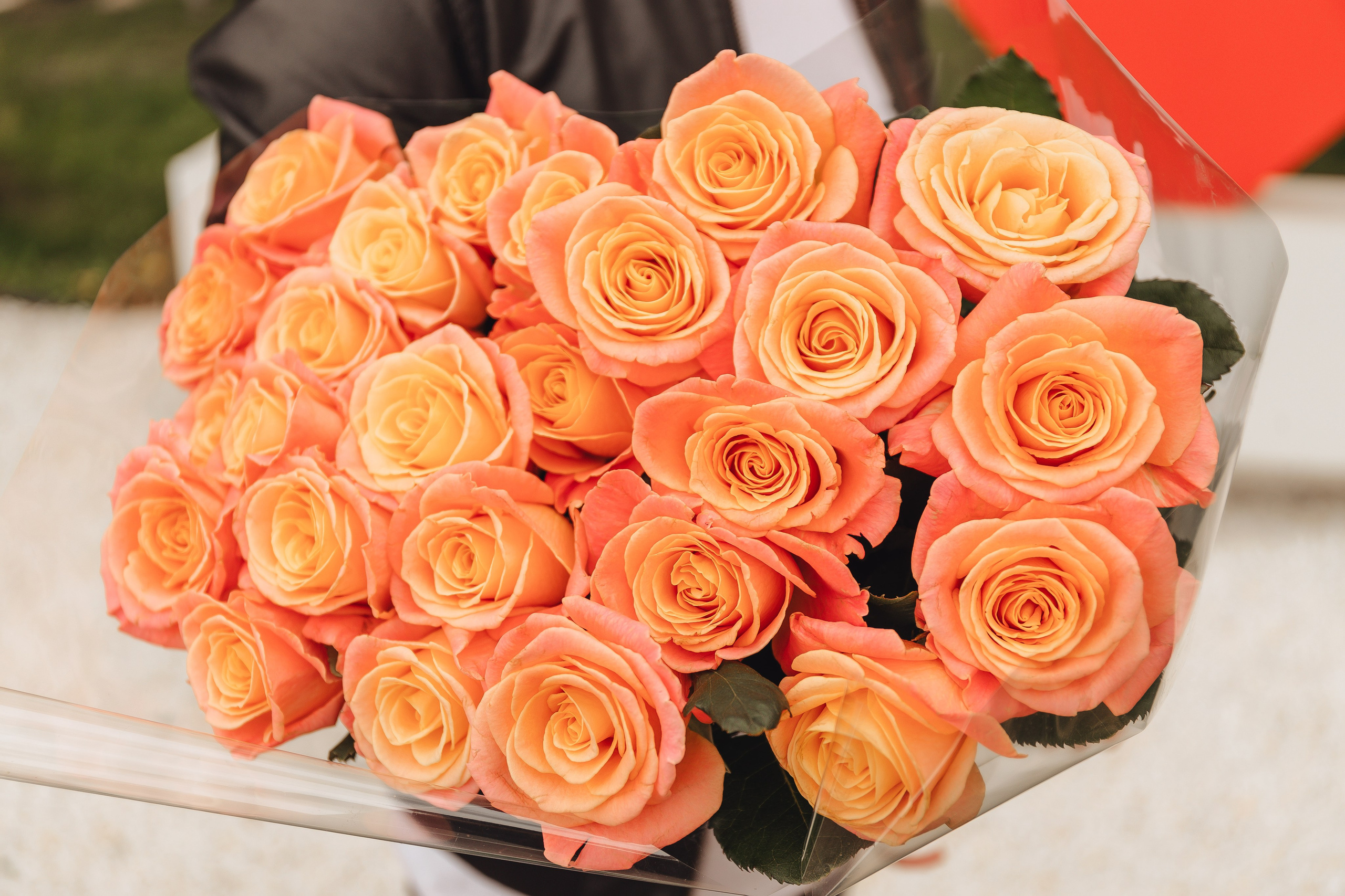 Выписка Софии. Свадебный и семейный фотограф Пушкин Царское Село СПБ Питер Санкт-Петербург и Рязань Ольга Козлова