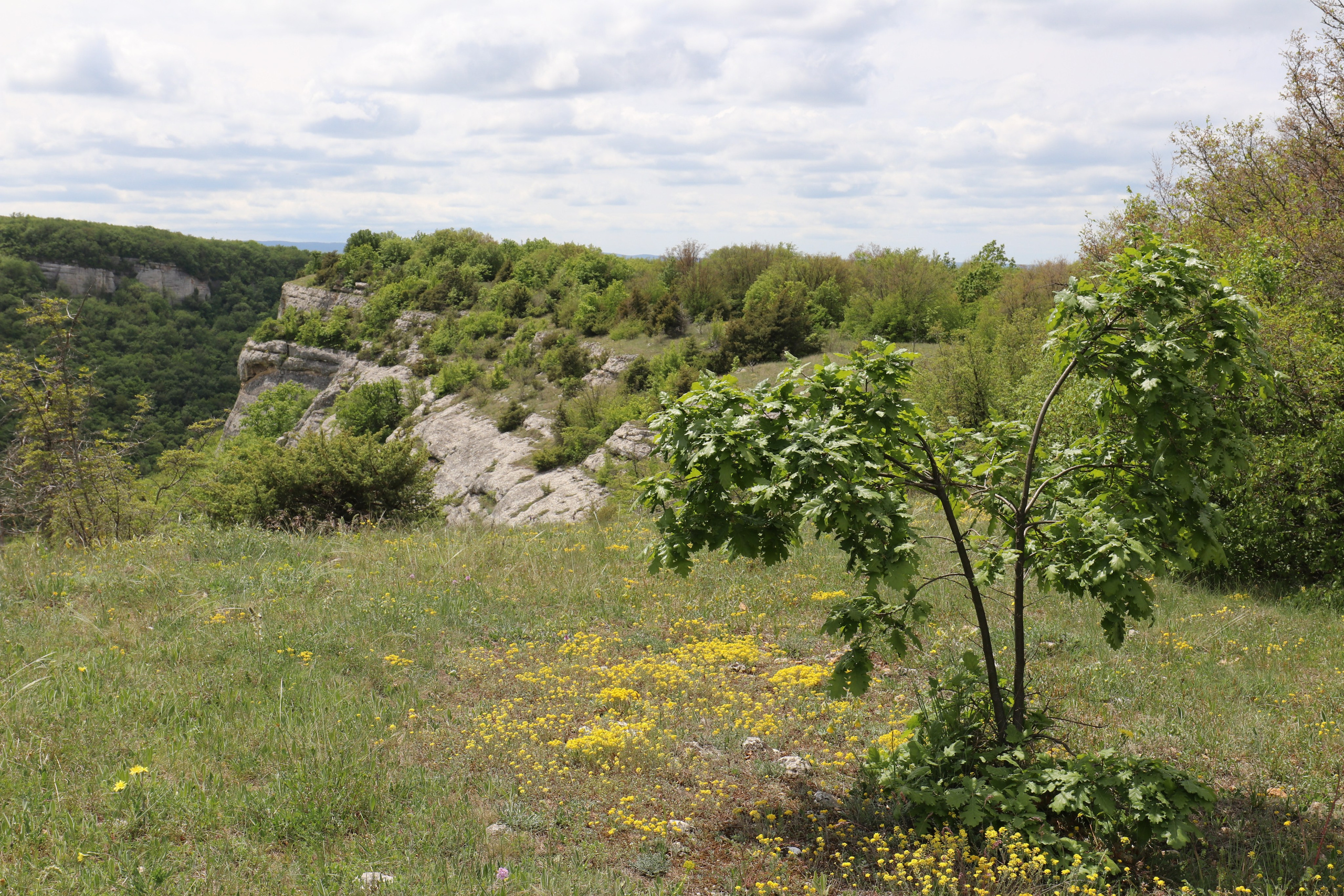 Крым. ЮБК (Бахчисарай, Демерджи, Судак). Первый скалолазный выезд. Май 2019. Путешественник-фотограф из Санкт-Петербурга Татьяна Свистулина