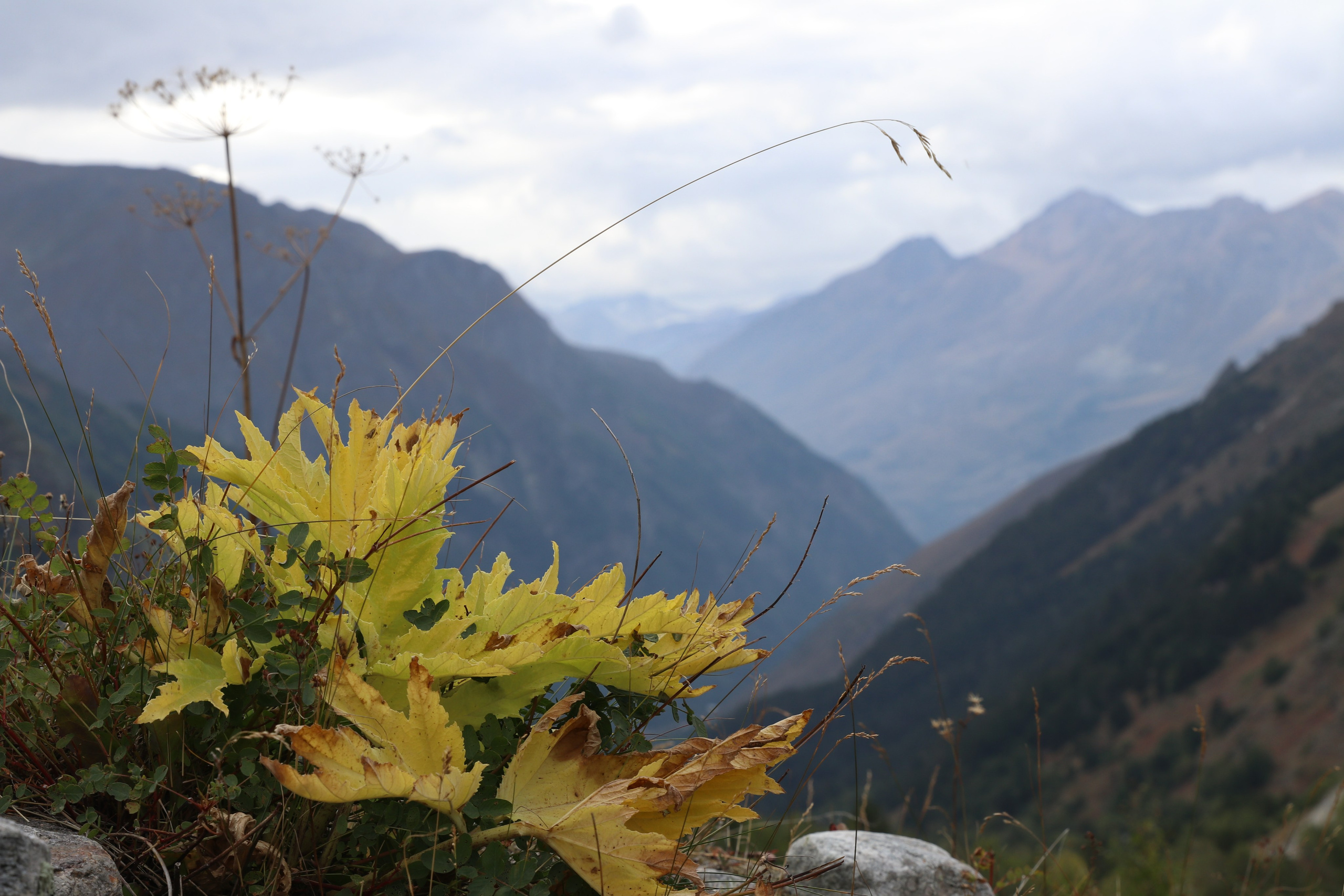 Приэльбрусье. Сентябрь 2023. Путешественник-фотограф из Санкт-Петербурга Татьяна Свистулина